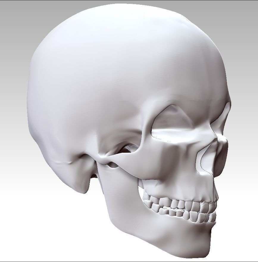 Mad Skull 3D print model_13