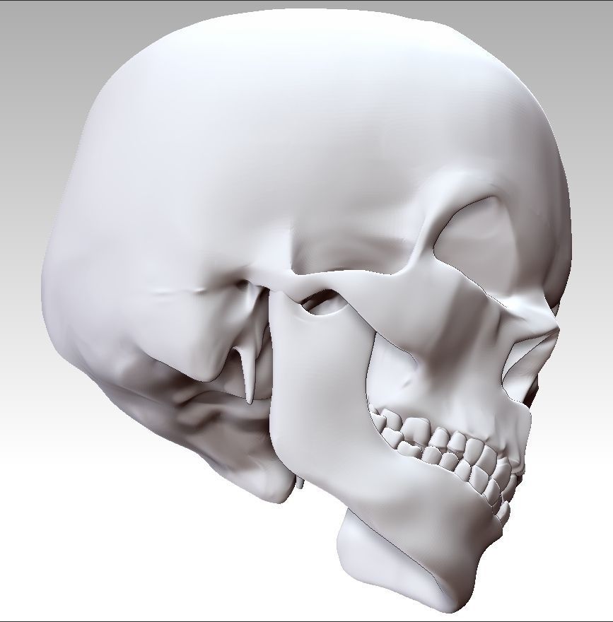 Mad Skull 3D print model_10
