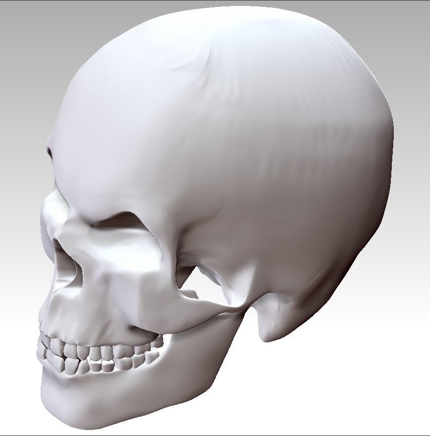 Mad Skull 3D print model_14