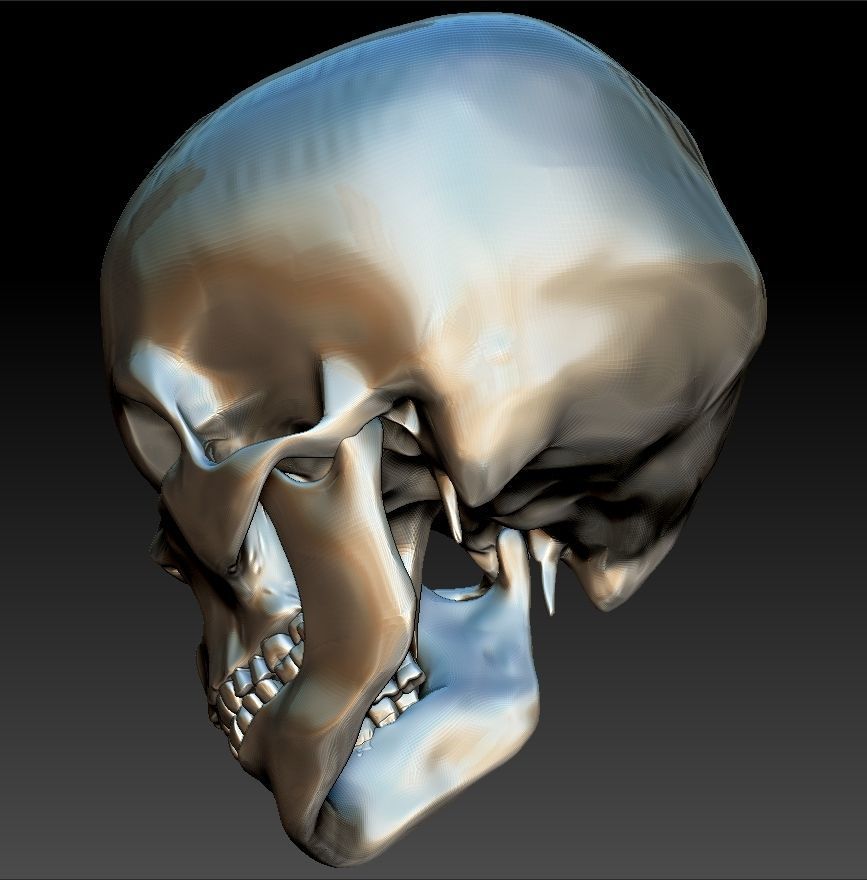 Mad Skull 3D print model_6