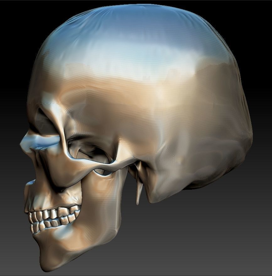 Mad Skull 3D print model_5