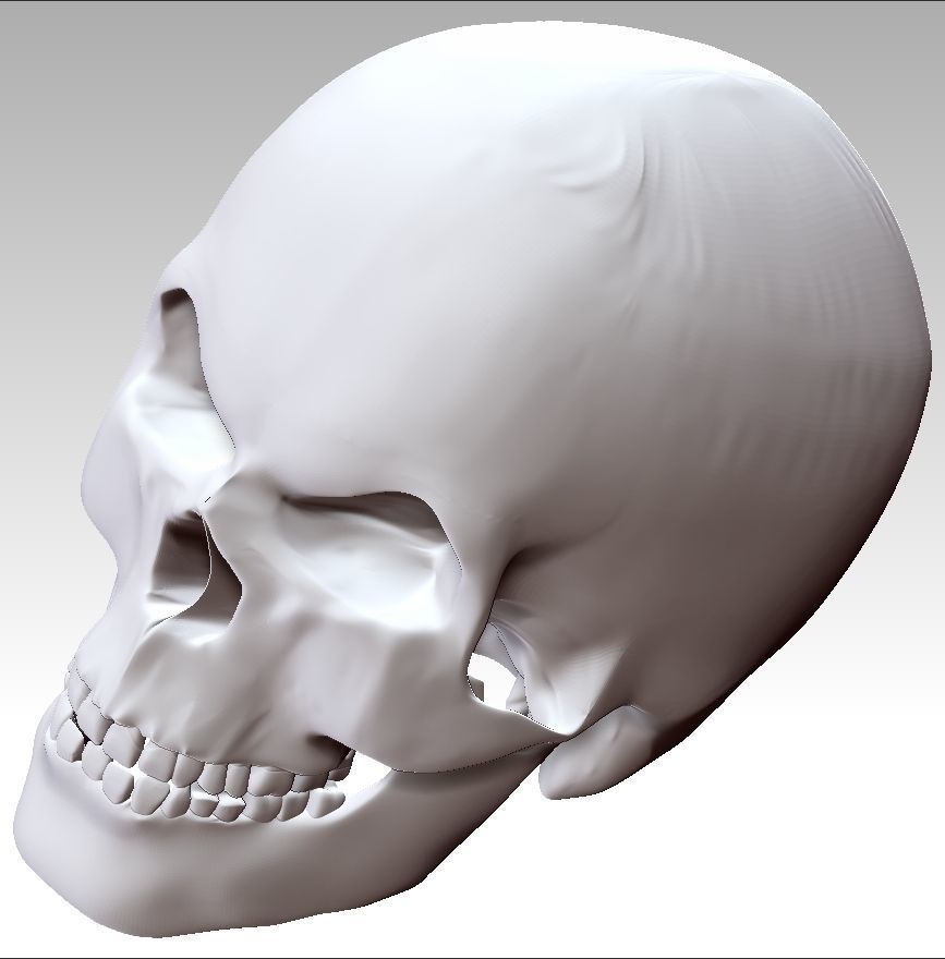 Mad Skull 3D print model_11