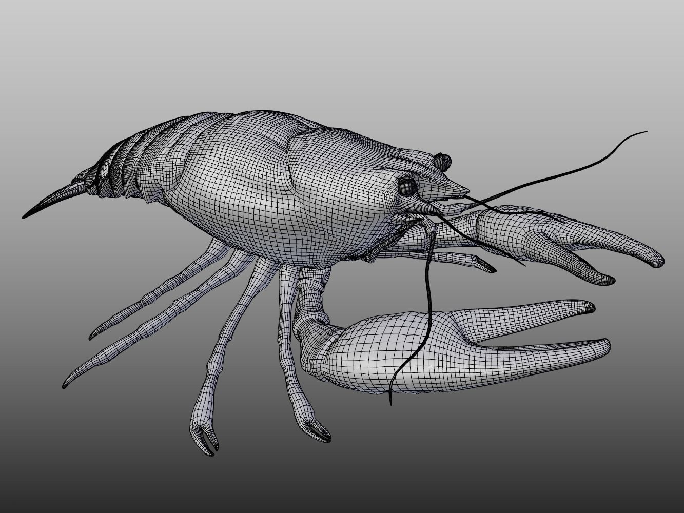 Crayfish Low-poly 3D model_5