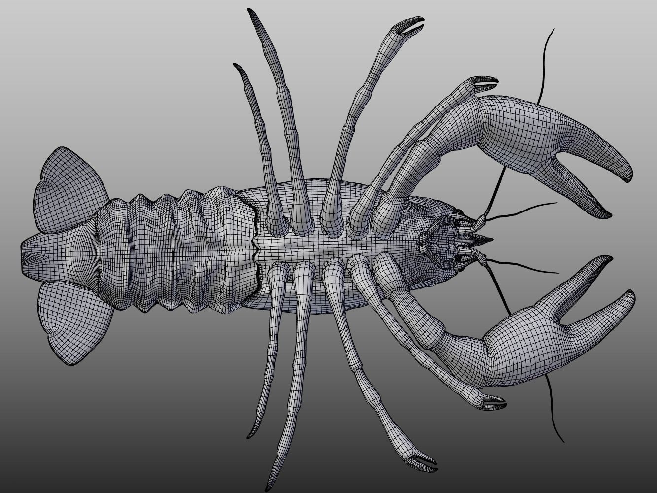 Crayfish Low-poly 3D model_7