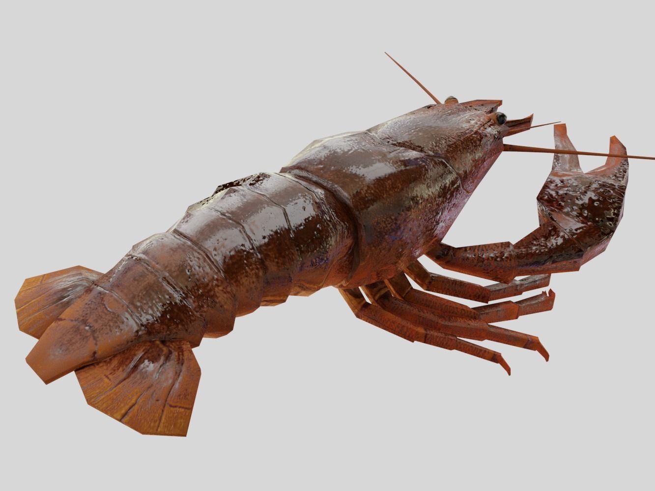 Crayfish Low-poly 3D model_9