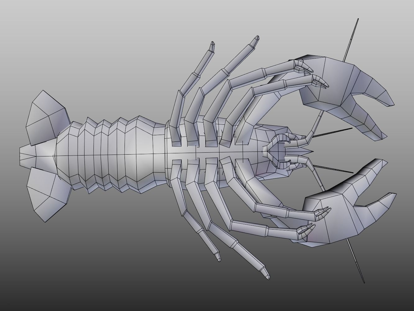 Crayfish Low-poly 3D model_13