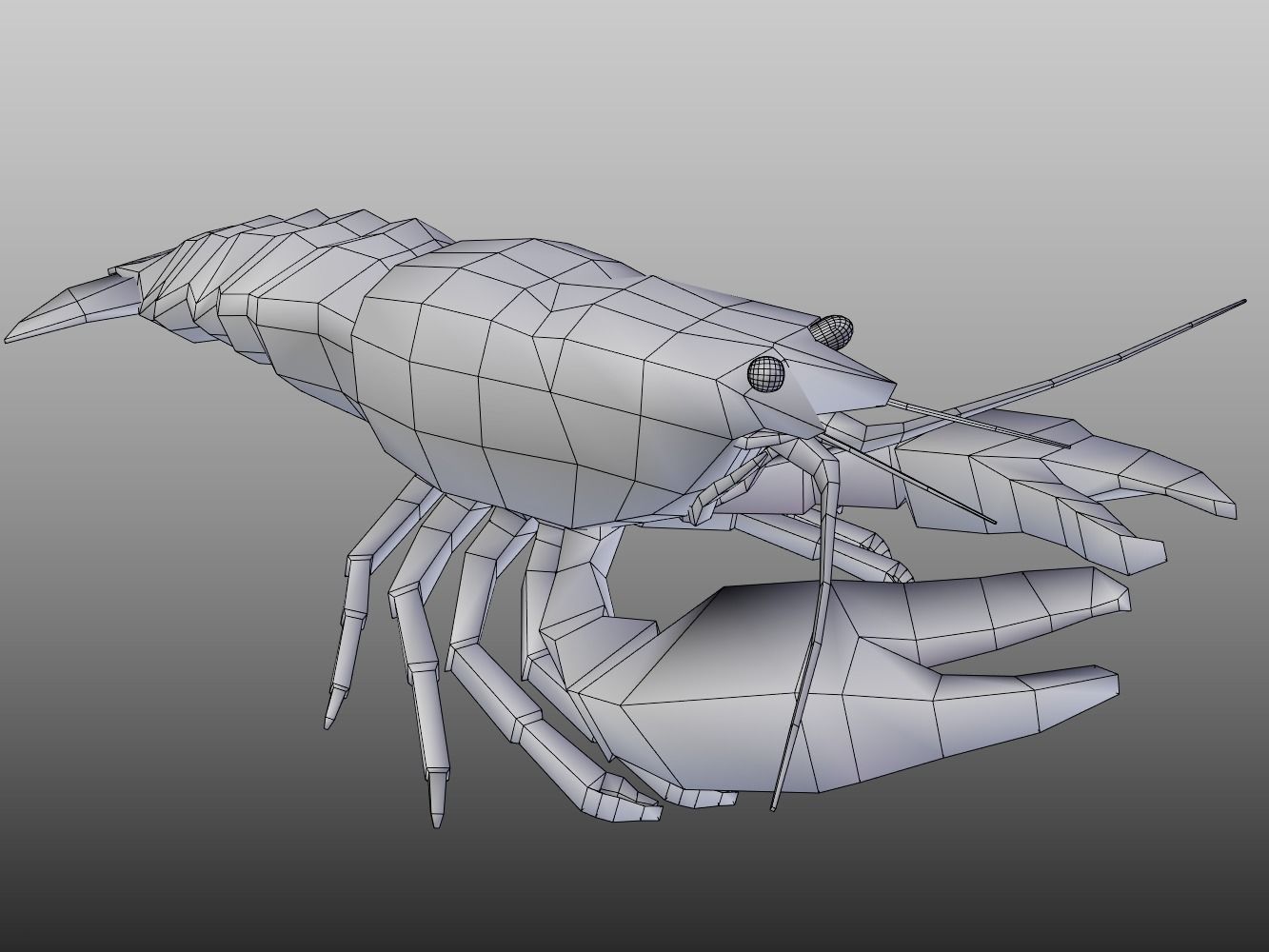 Crayfish Low-poly 3D model_11