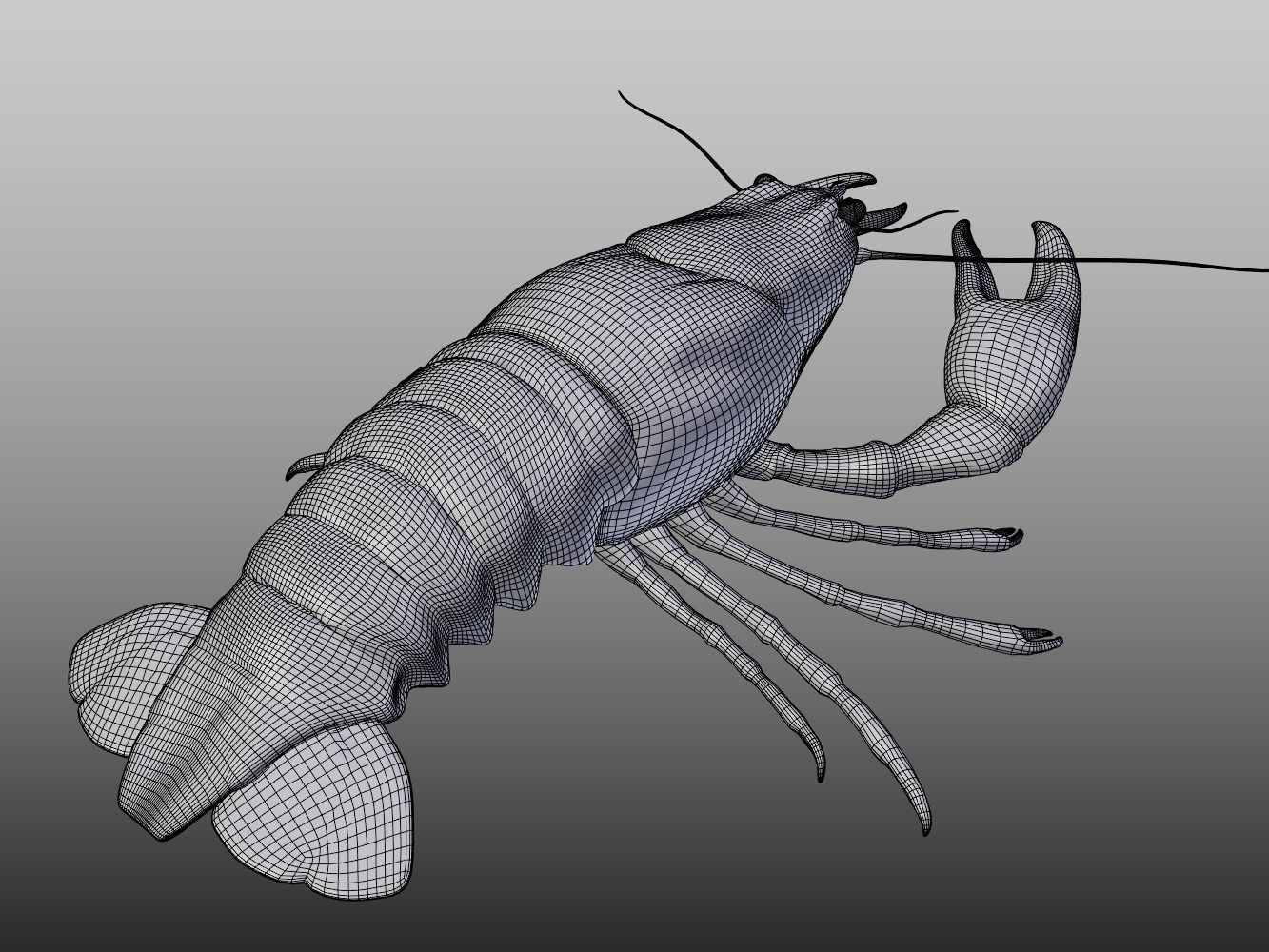Crayfish Low-poly 3D model_6