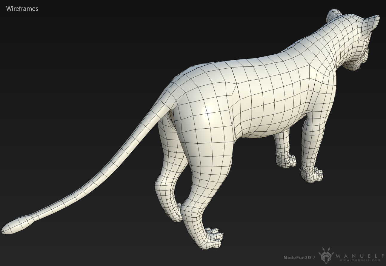 3D Lion Low-poly 3D model_6