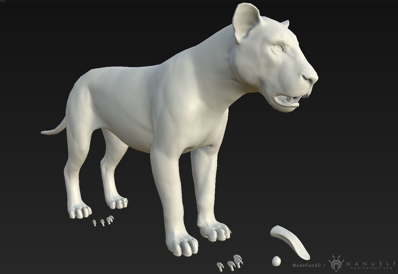3D Lion Low-poly 3D model_1