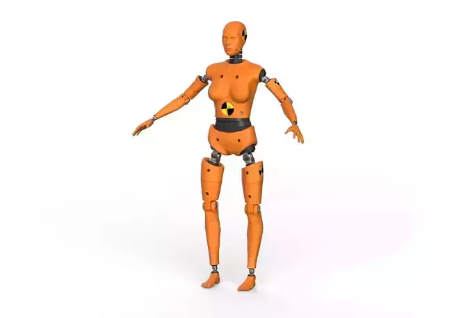 Crash Test Dummy  Robot Android  3D model Female 3D model