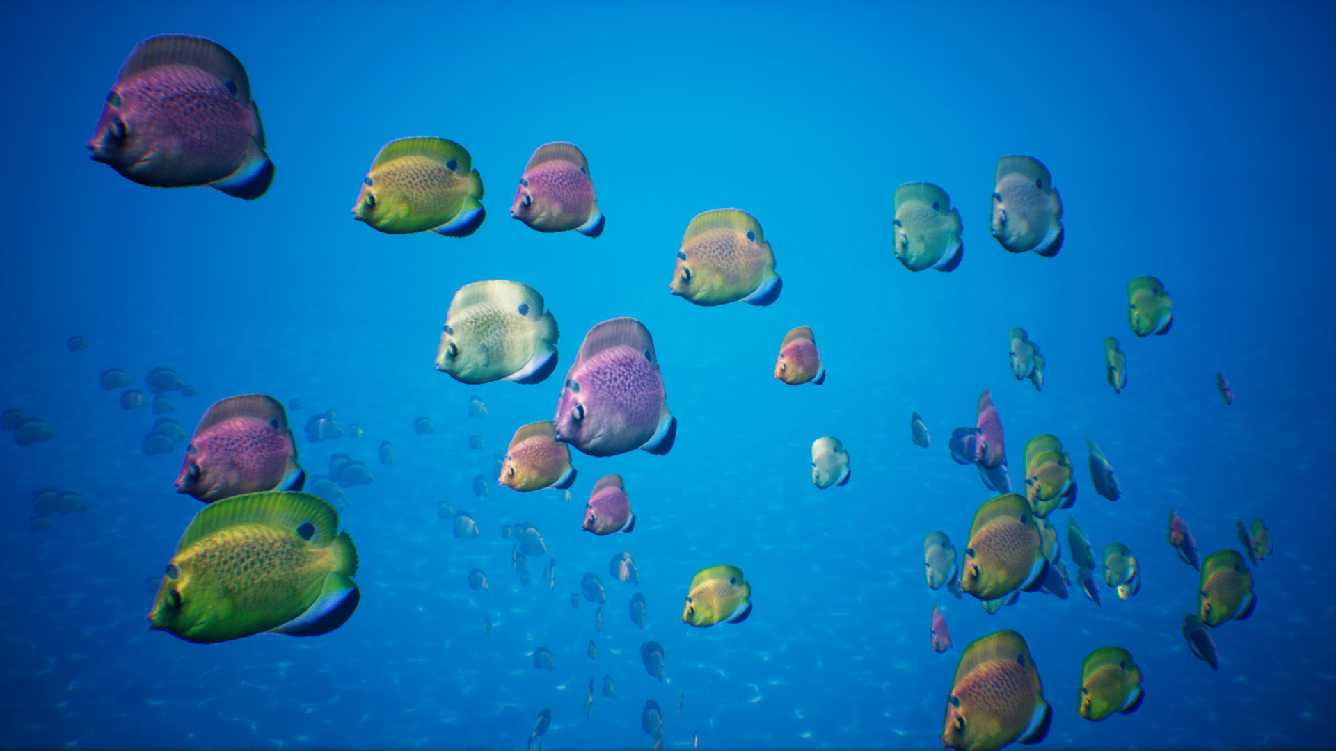 UE4 Fish School System Low-poly 3D model_8
