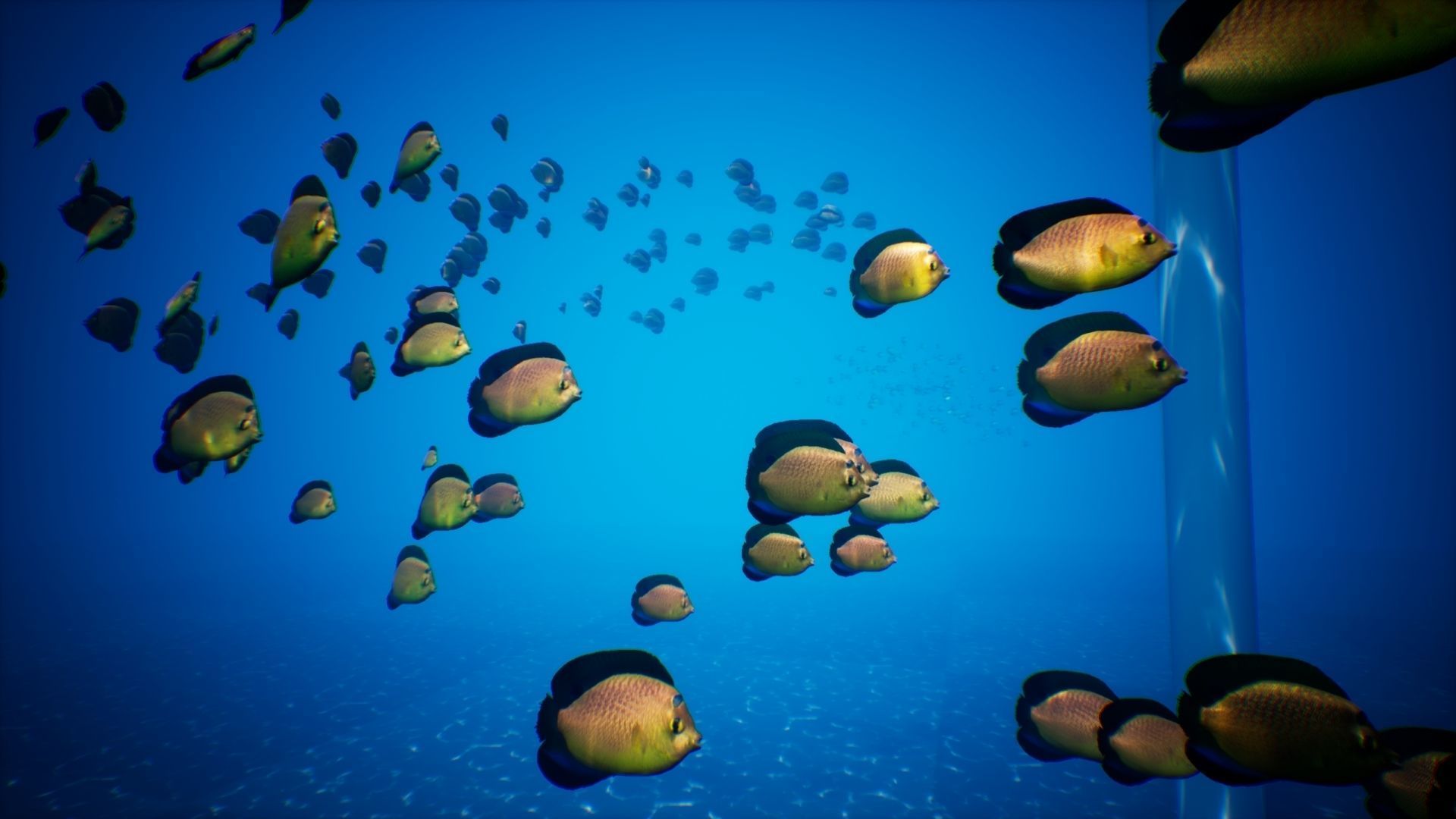 UE4 Fish School System Low-poly 3D model_4