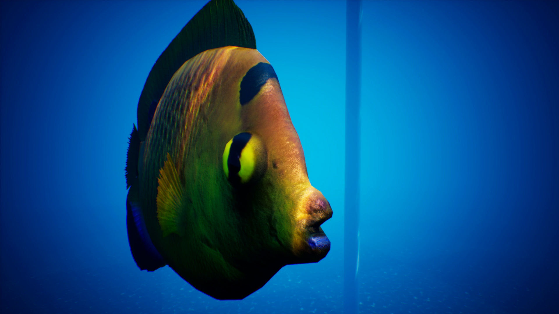 UE4 Fish School System Low-poly 3D model_7