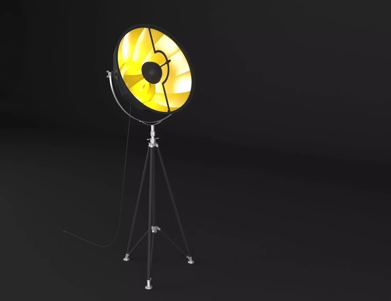 Floor Lamp 3D model_0