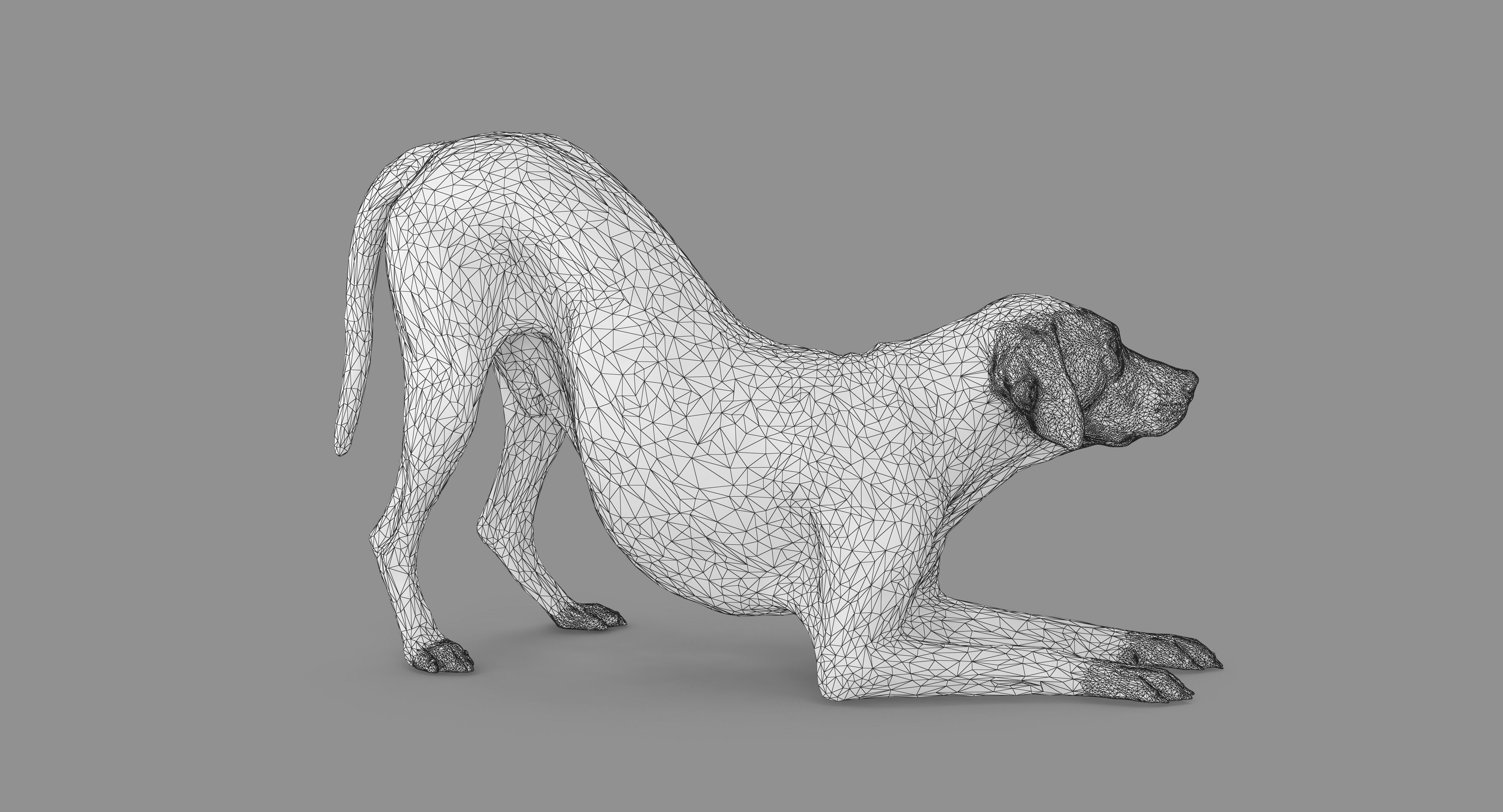 Dalmatian Dog Pose 3D model_78