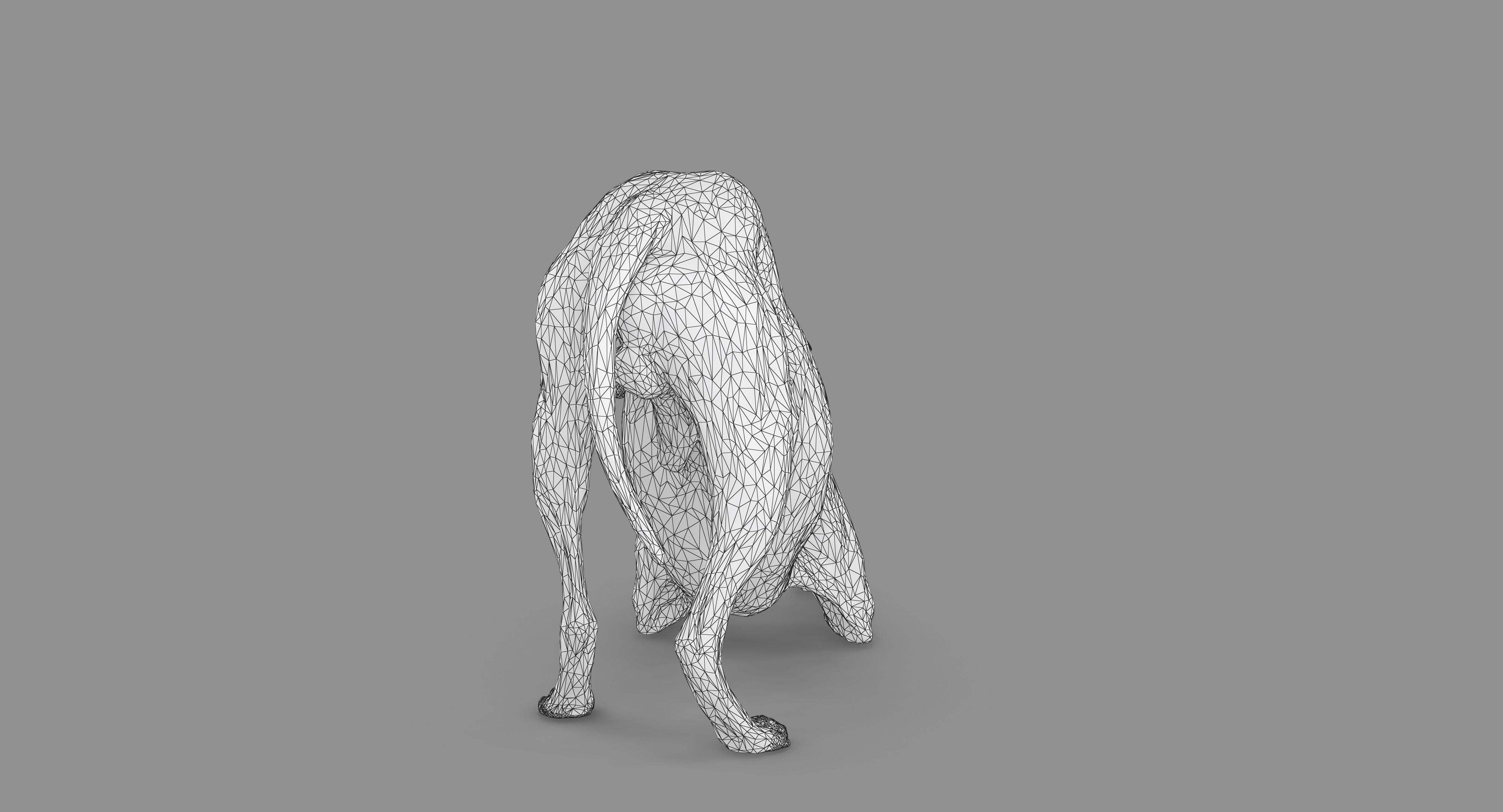 Dalmatian Dog Pose 3D model_90