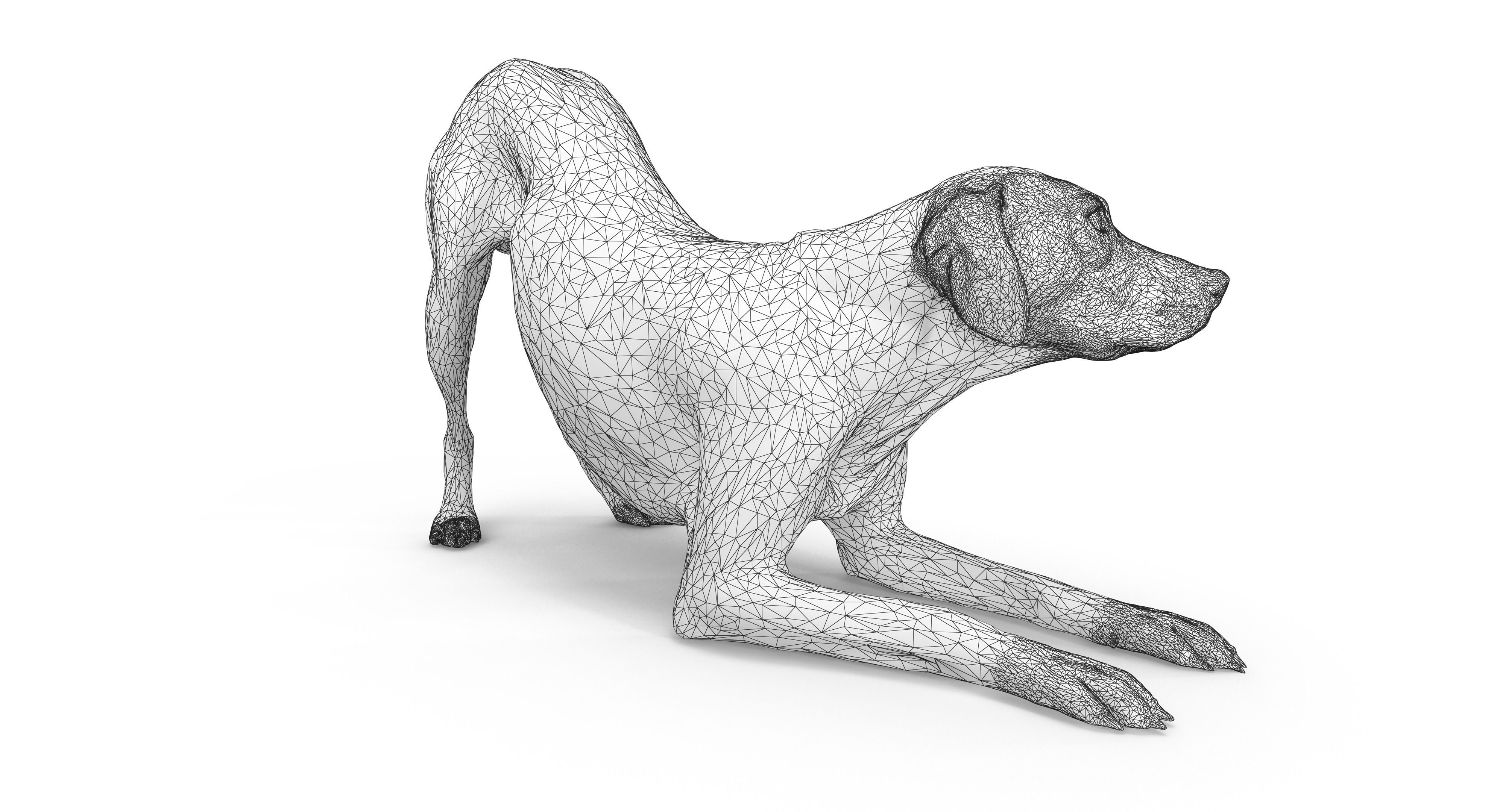 Dalmatian Dog Pose 3D model_24