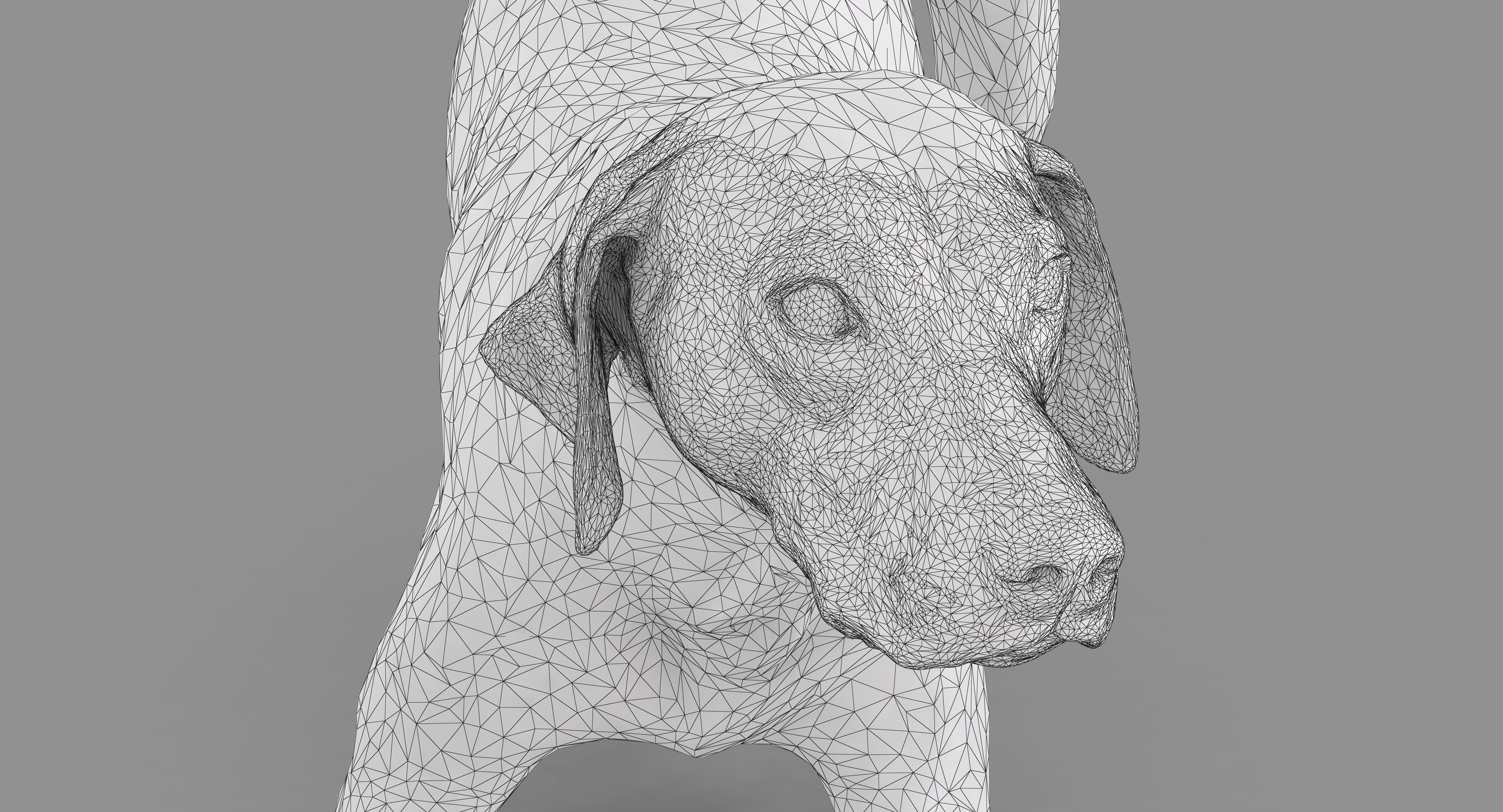 Dalmatian Dog Pose 3D model_48