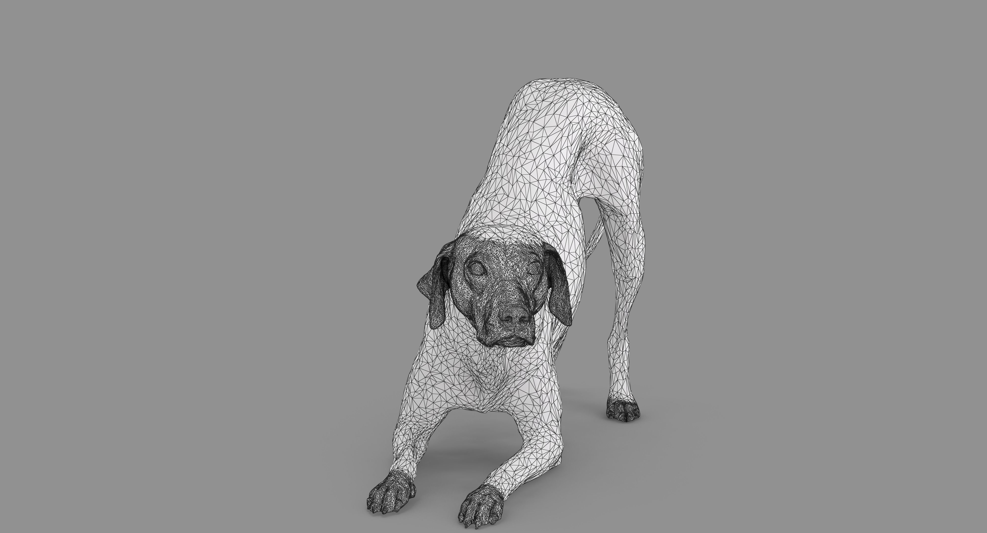 Dalmatian Dog Pose 3D model_66