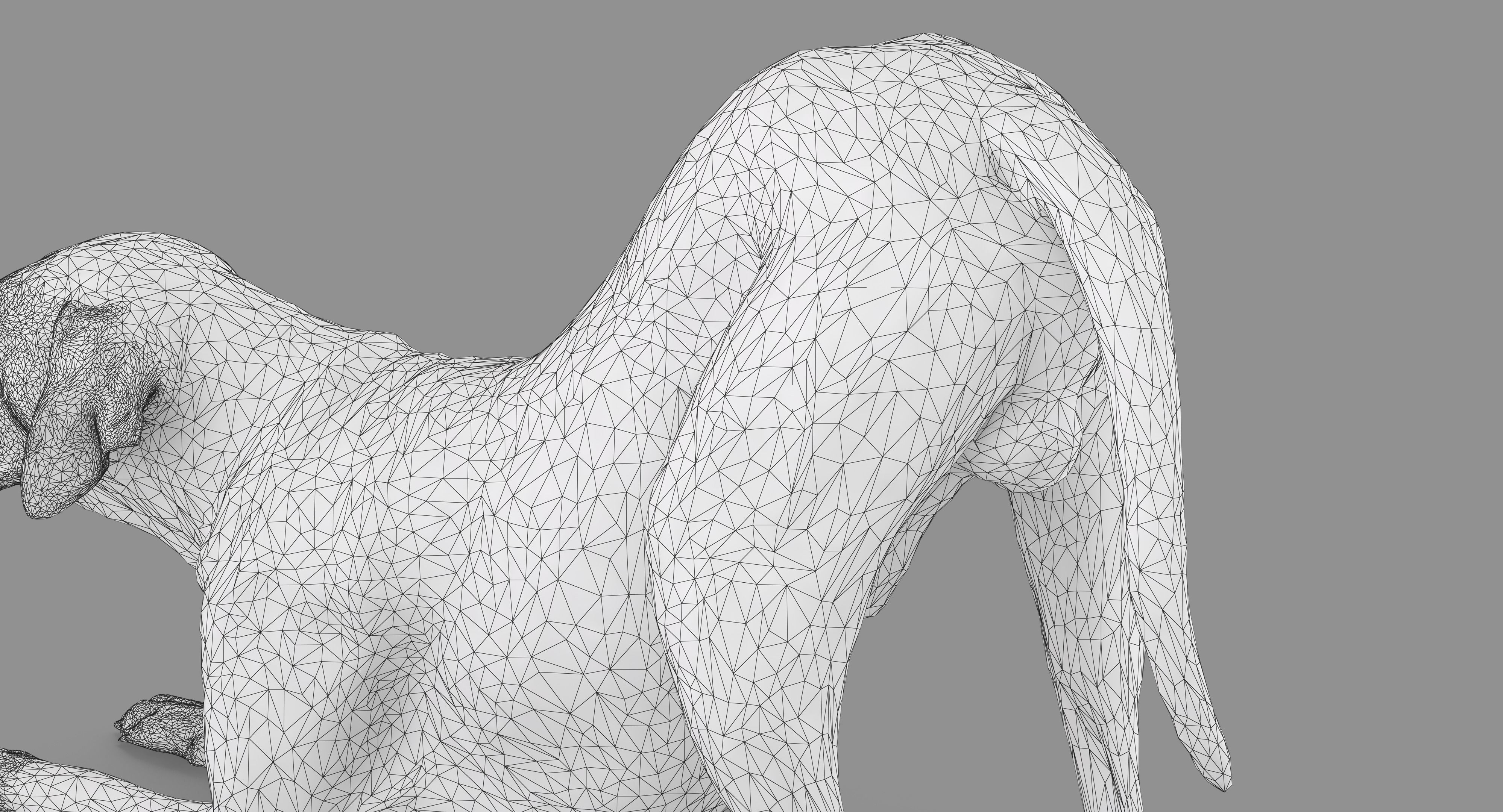 Dalmatian Dog Pose 3D model_50