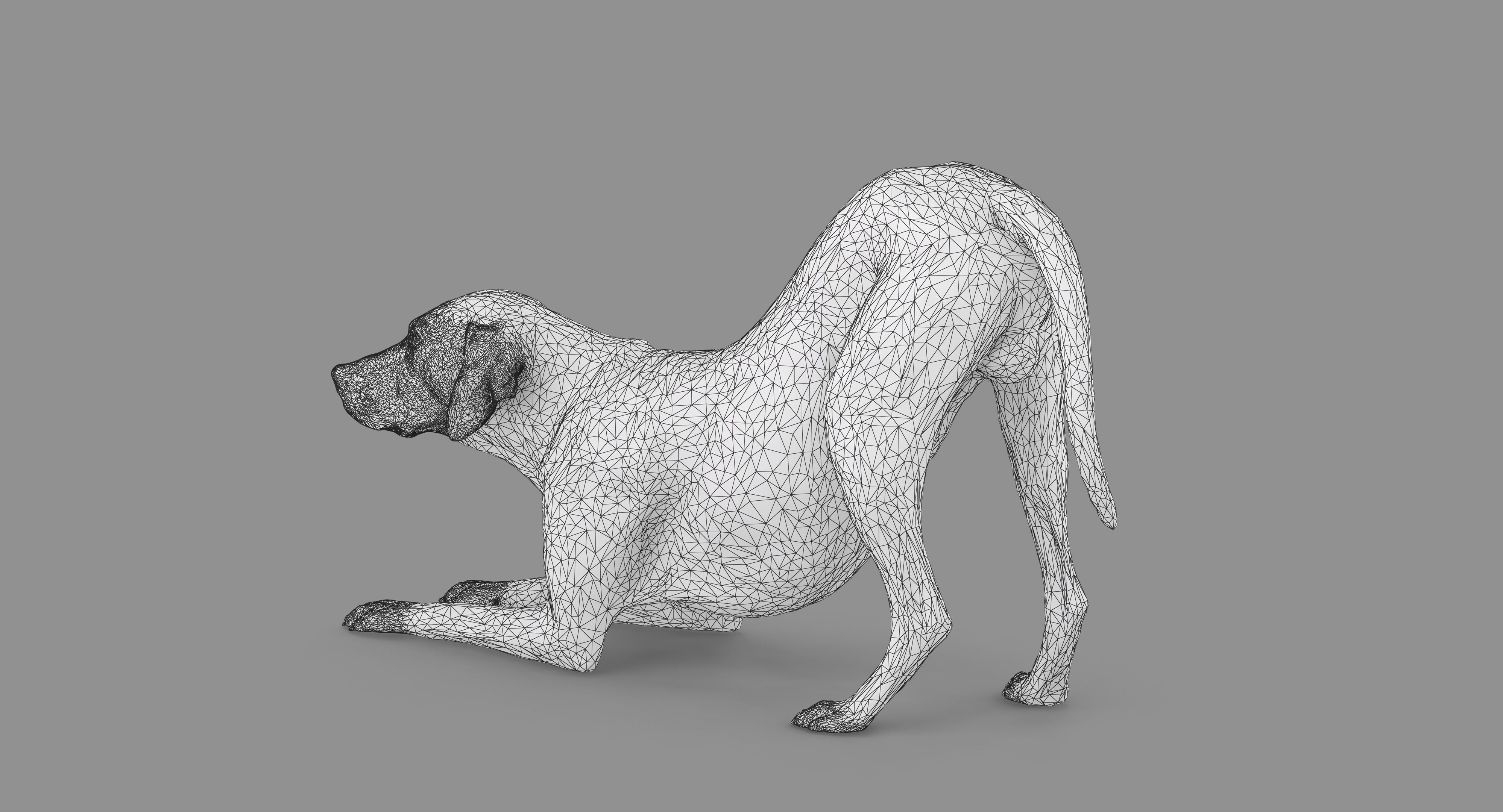 Dalmatian Dog Pose 3D model_98