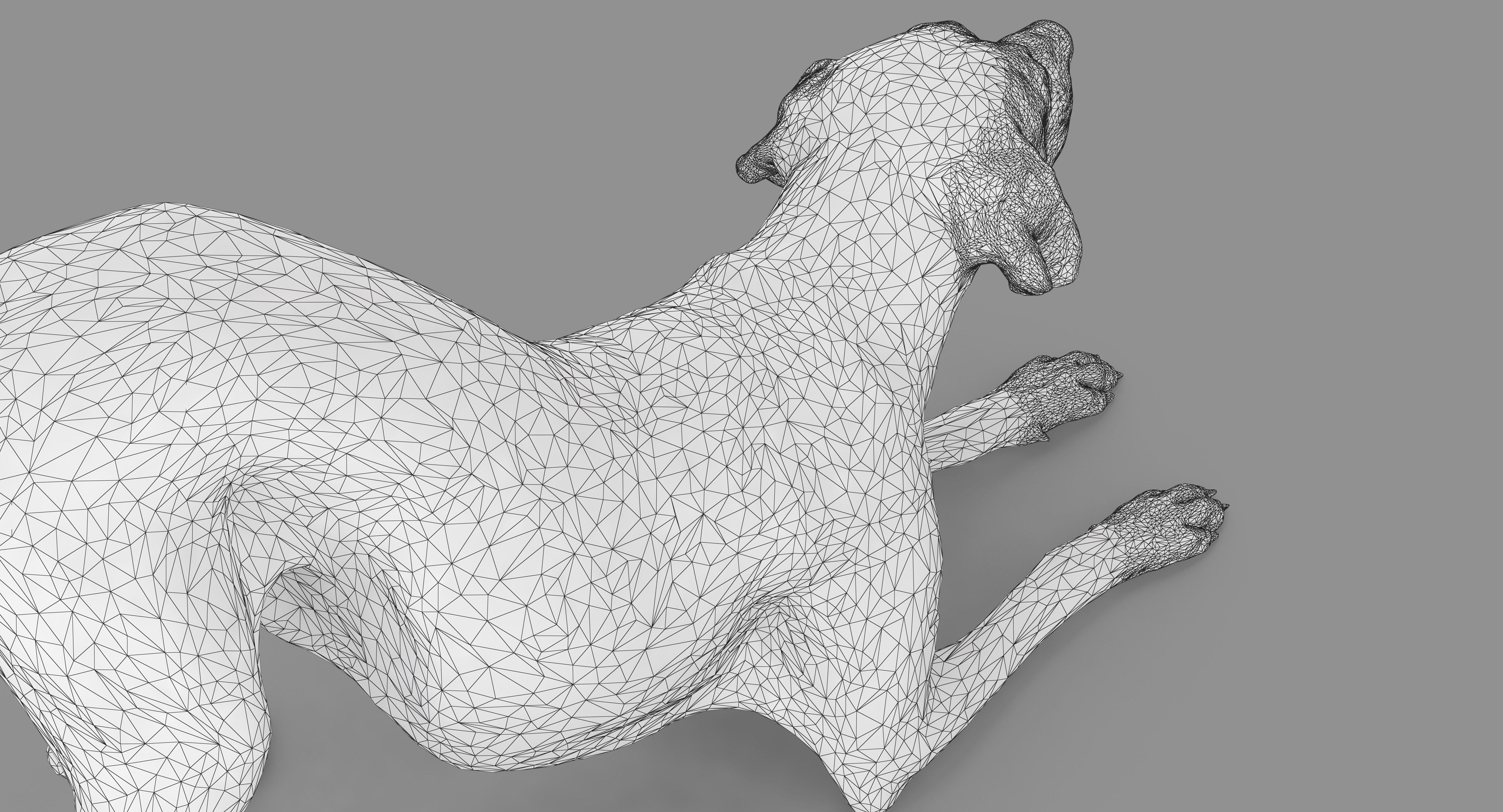 Dalmatian Dog Pose 3D model_54