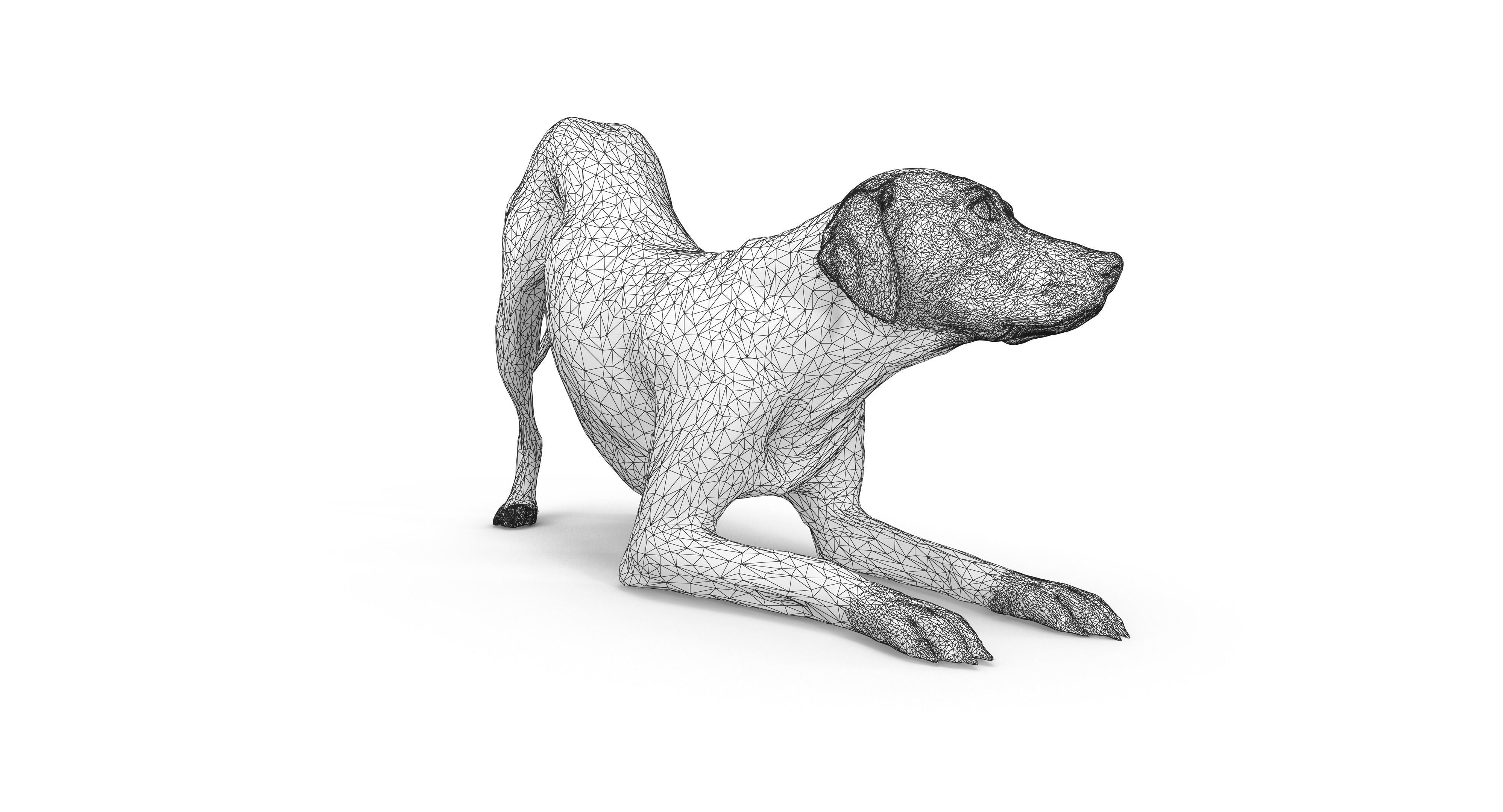 Dalmatian Dog Pose 3D model_28