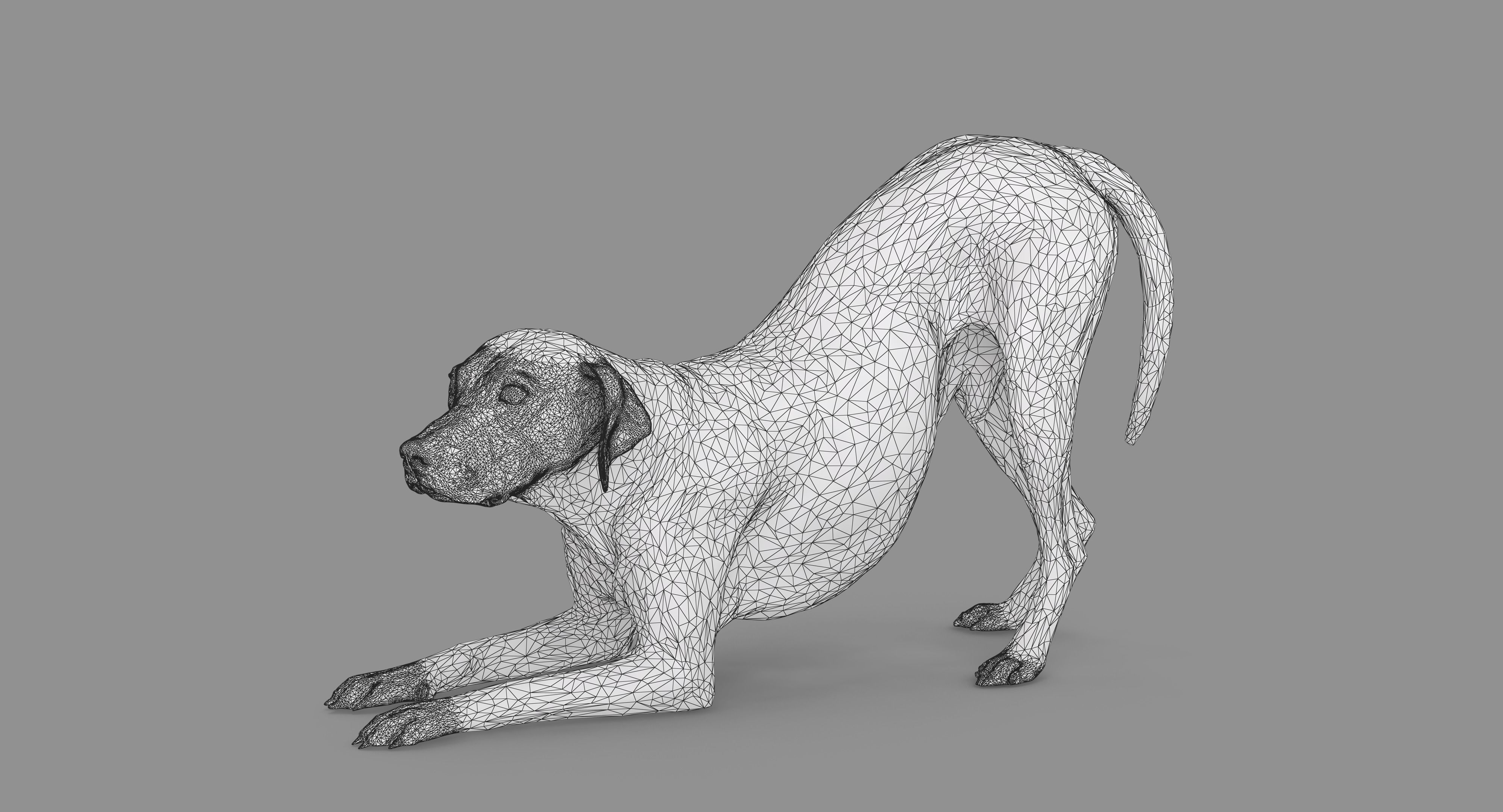 Dalmatian Dog Pose 3D model_106