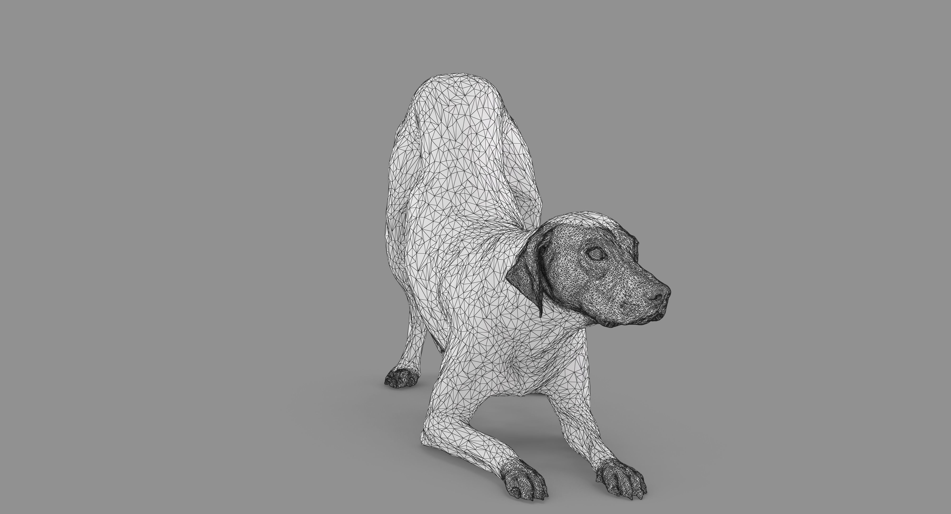 Dalmatian Dog Pose 3D model_70