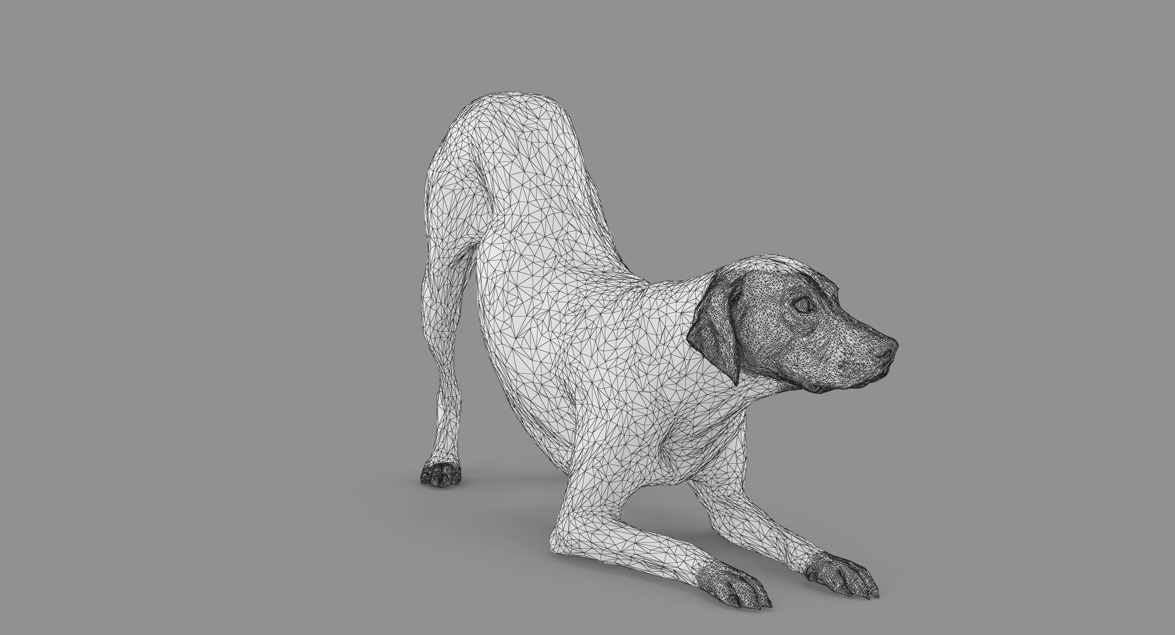 Dalmatian Dog Pose 3D model_72