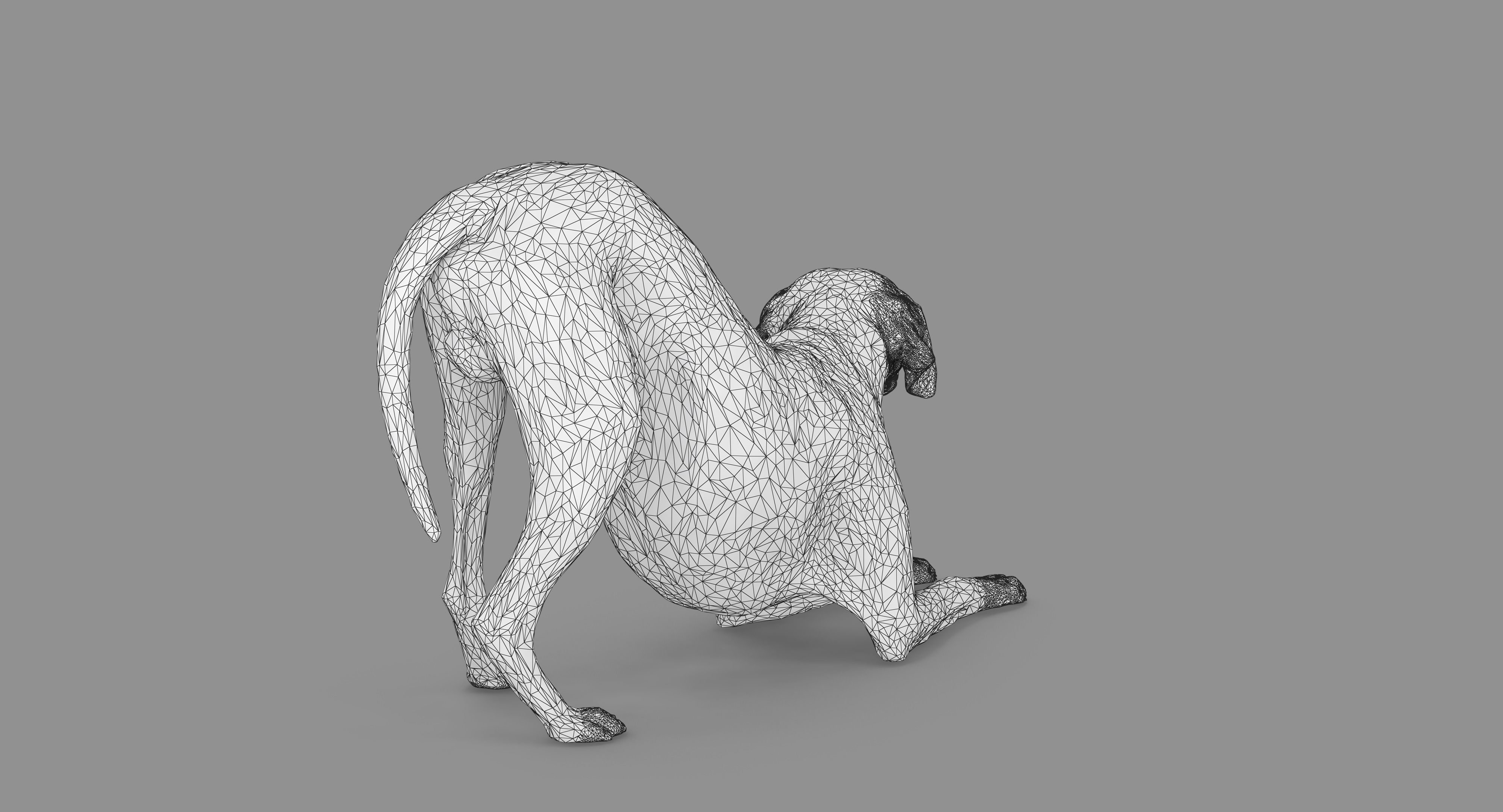 Dalmatian Dog Pose 3D model_86