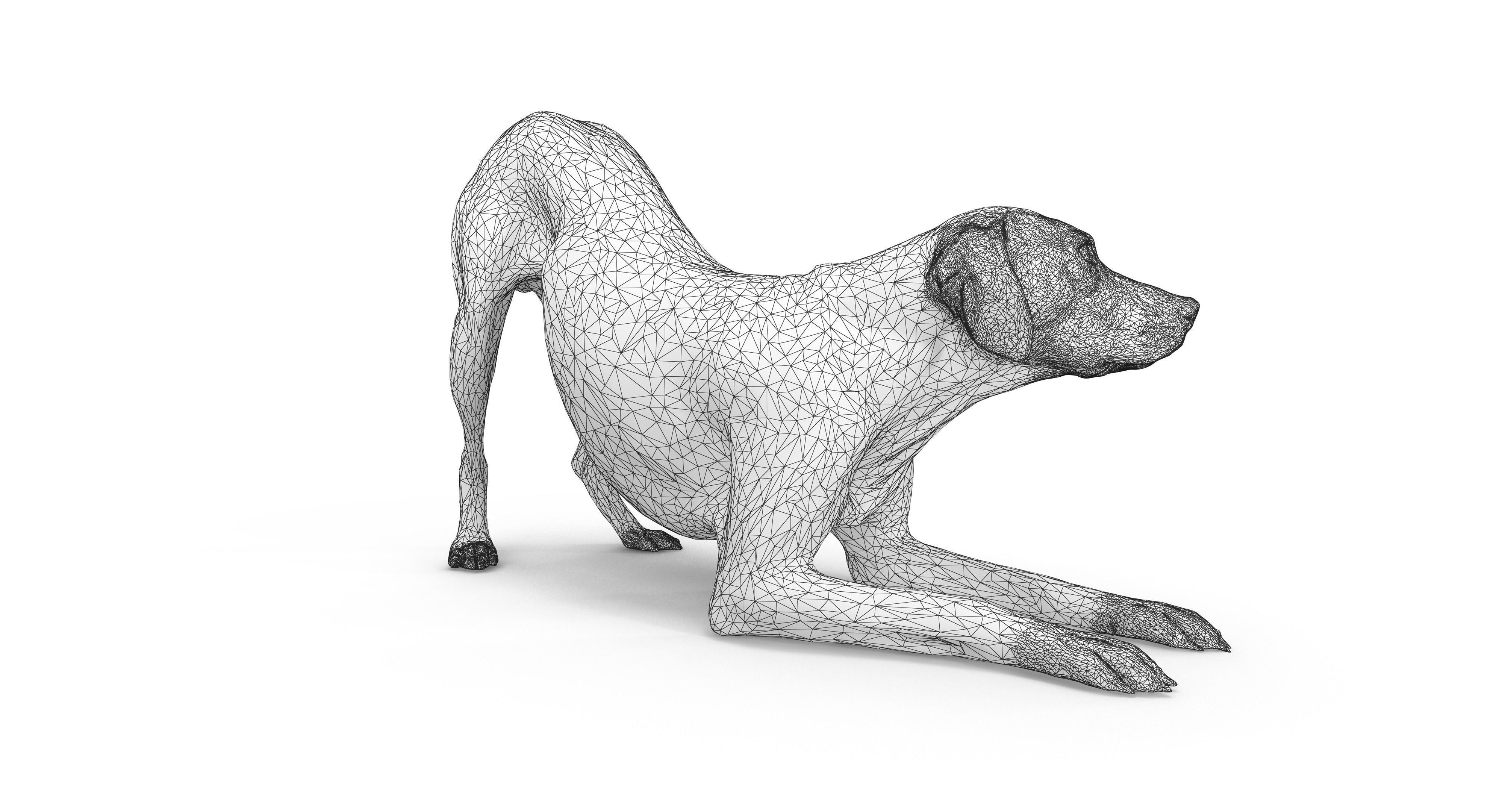 Dalmatian Dog Pose 3D model_16