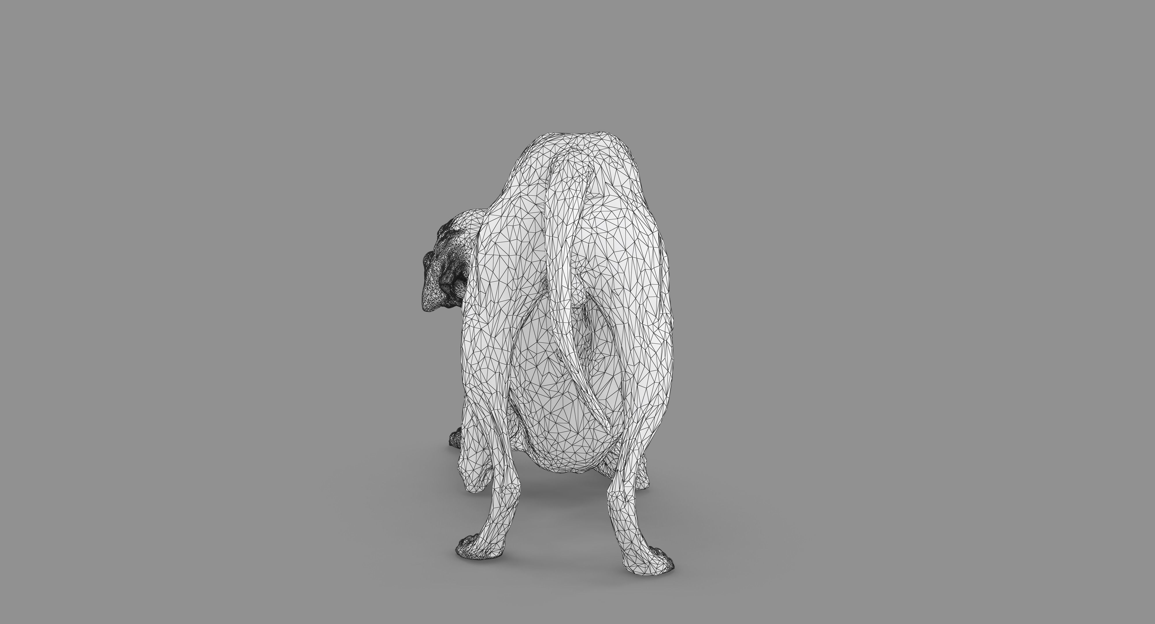 Dalmatian Dog Pose 3D model_92