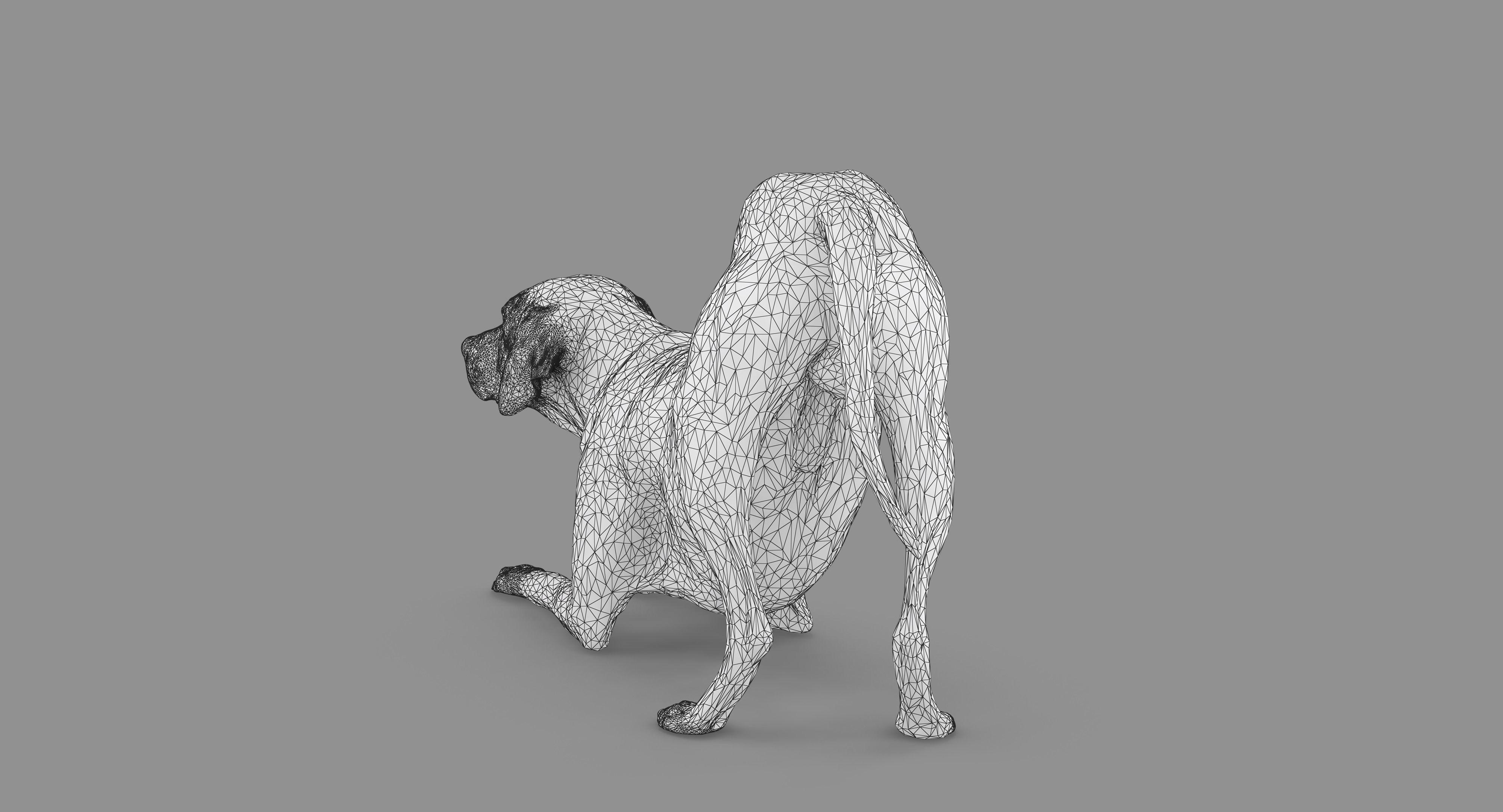 Dalmatian Dog Pose 3D model_94