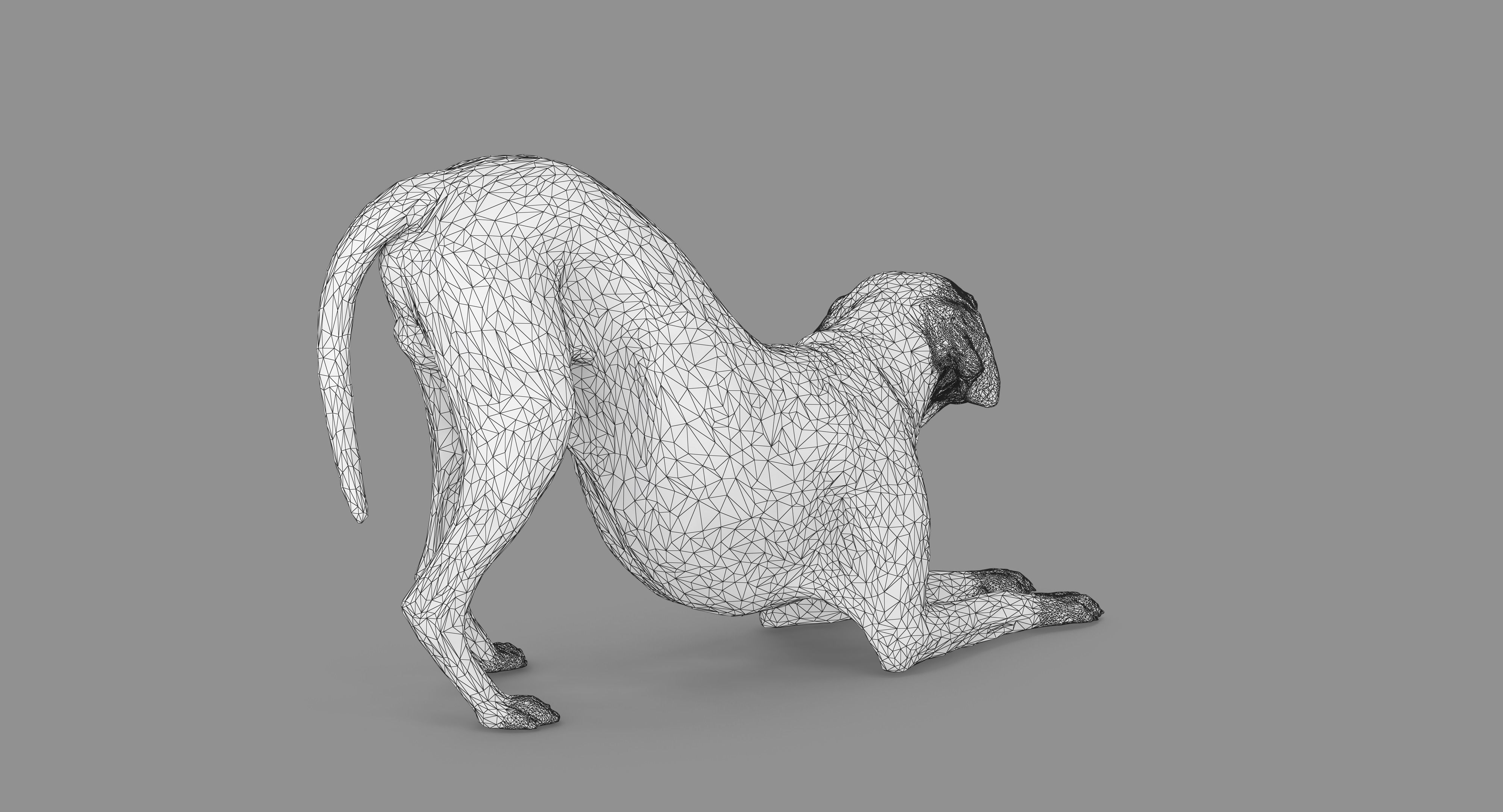 Dalmatian Dog Pose 3D model_84