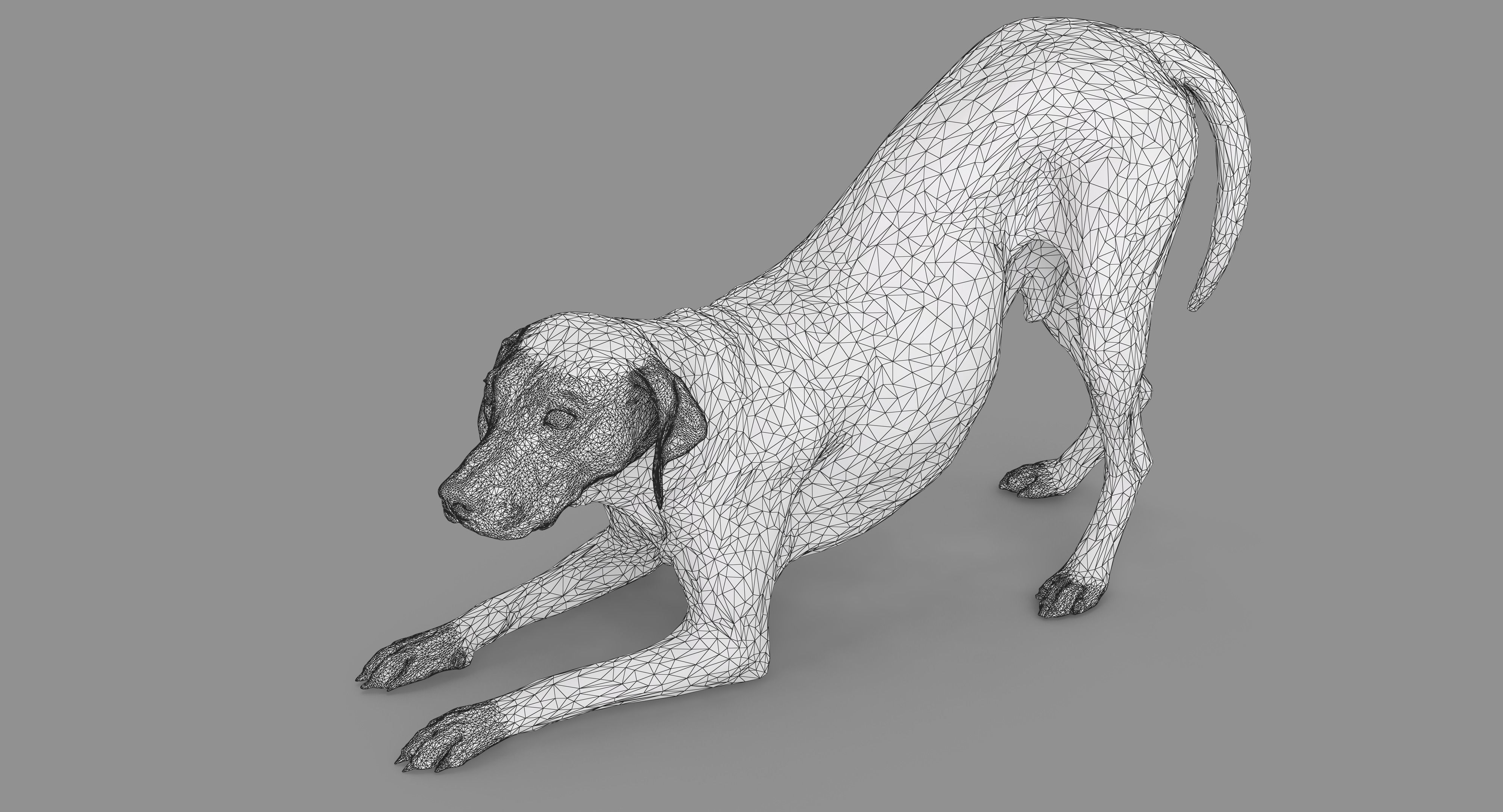 Dalmatian Dog Pose 3D model_60