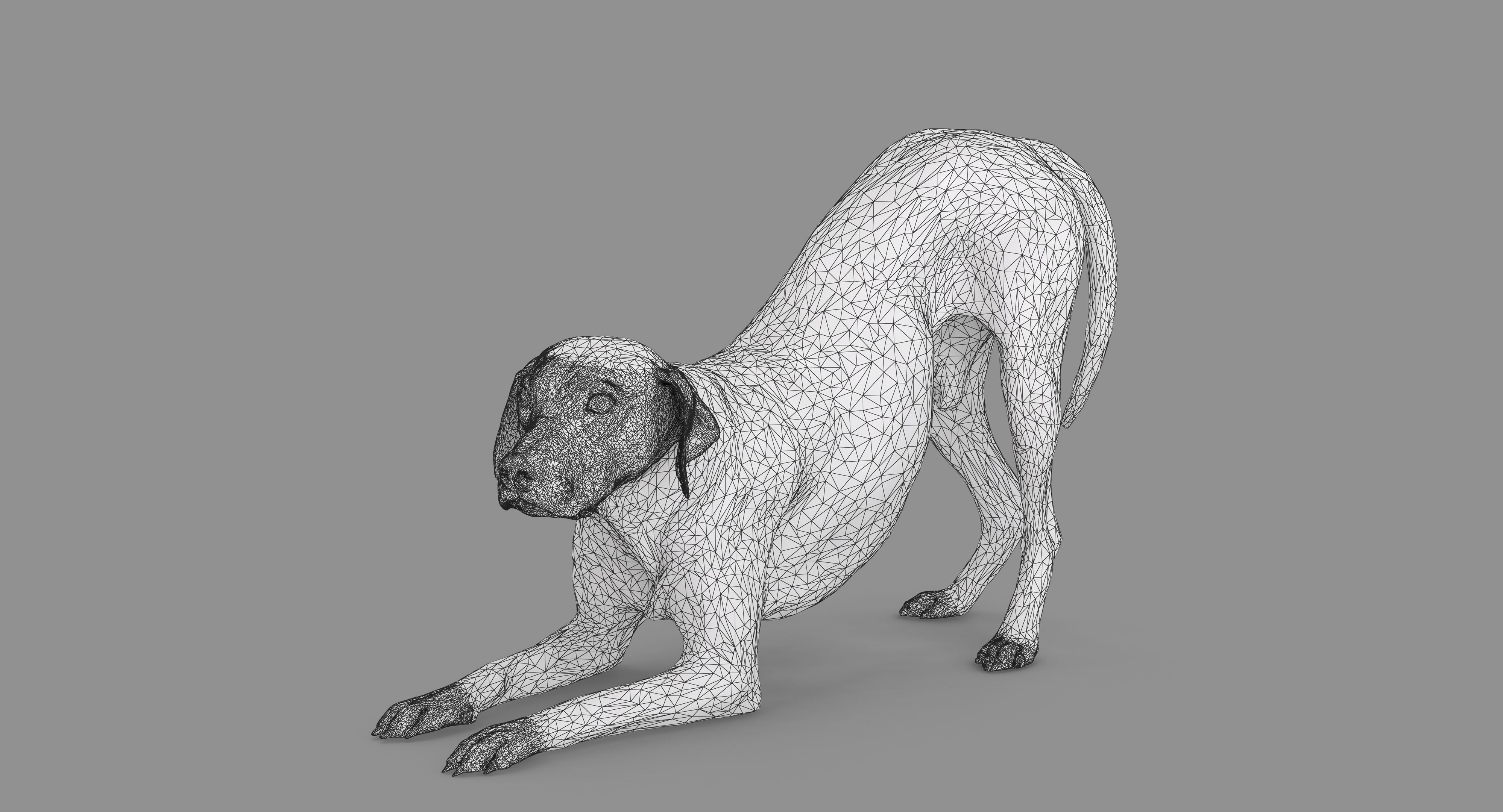 Dalmatian Dog Pose 3D model_62