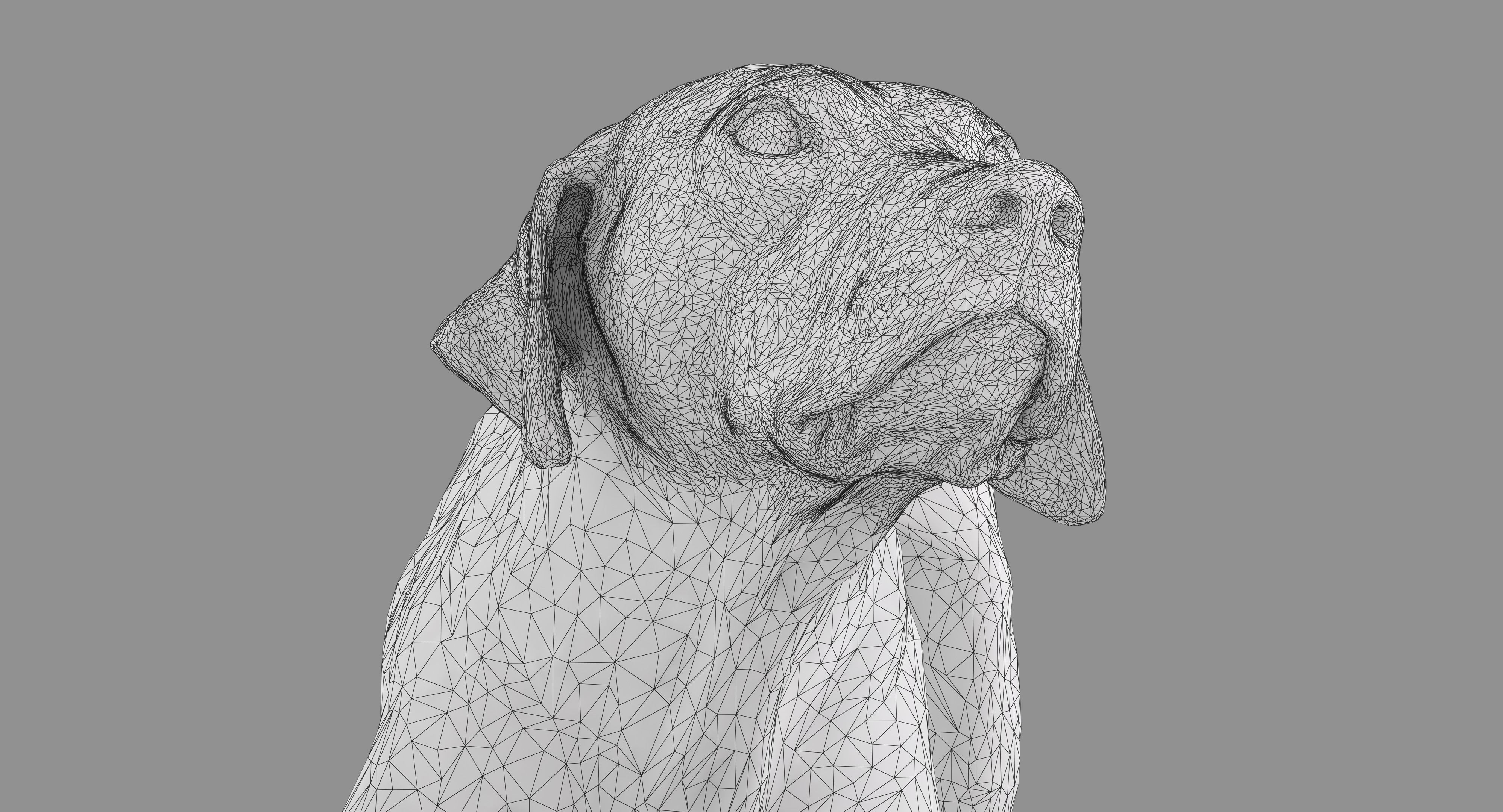 Dalmatian Dog Pose 3D model_44