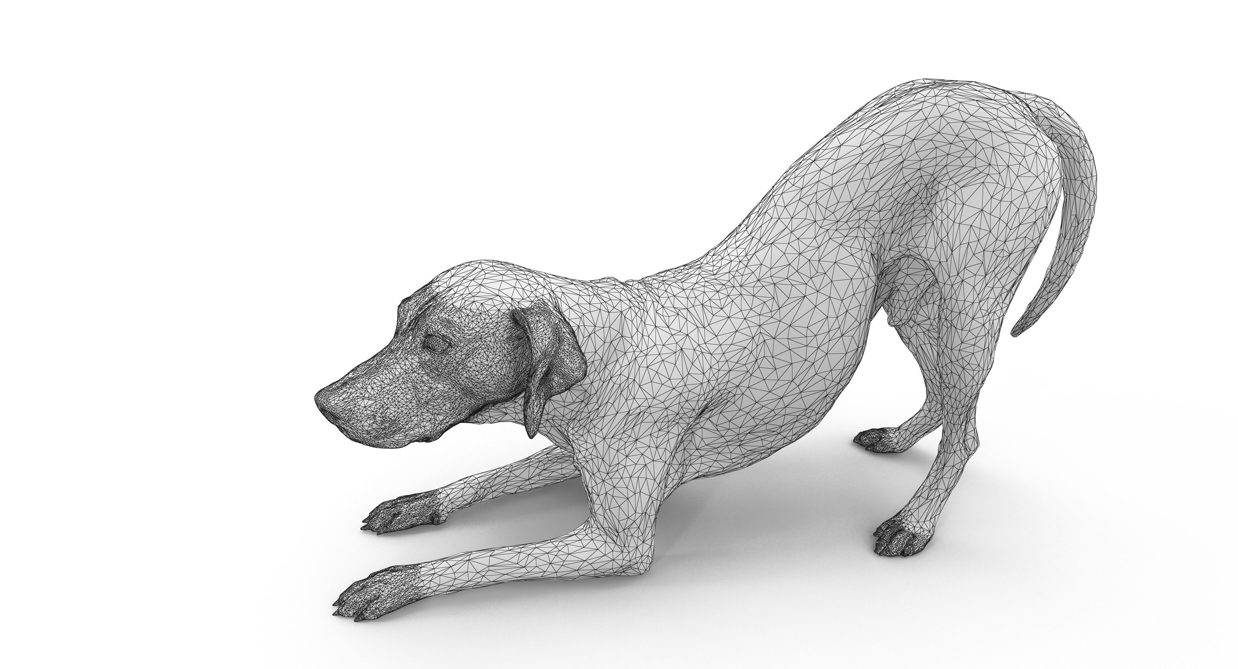 Dalmatian Dog Pose 3D model_30
