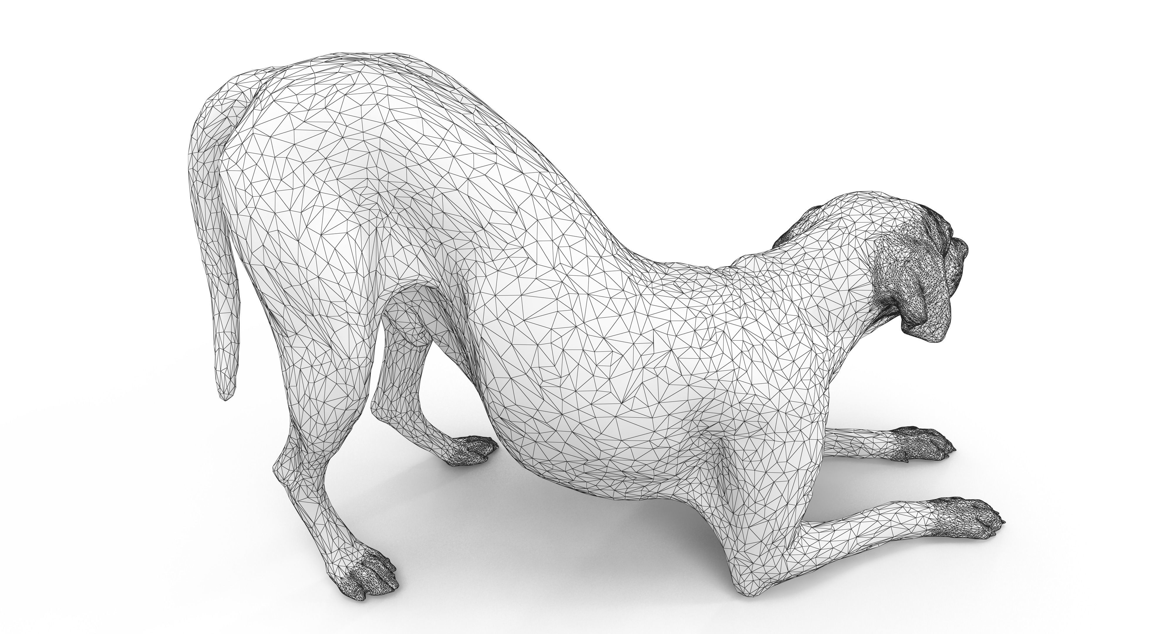 Dalmatian Dog Pose 3D model_10