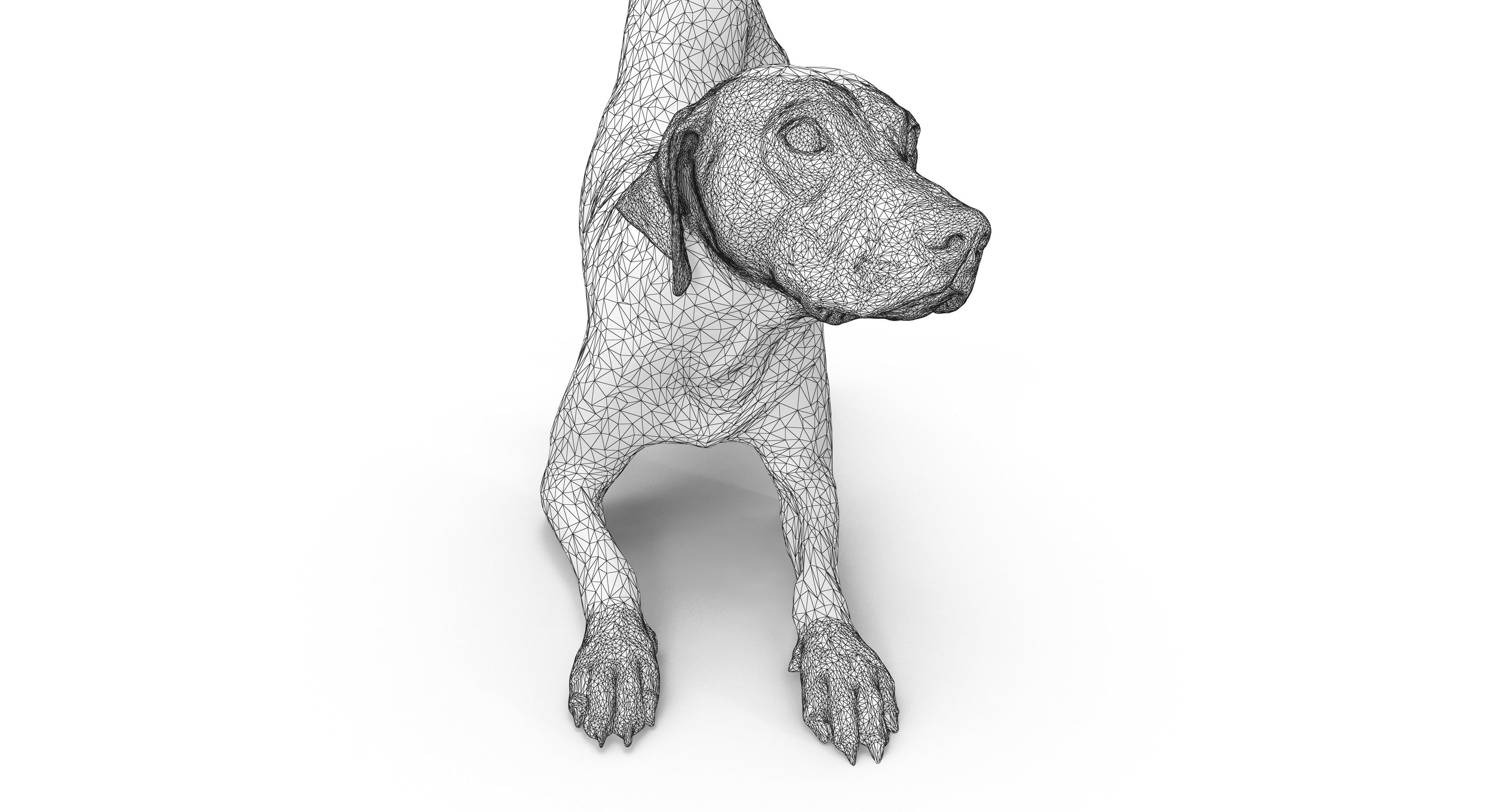 Dalmatian Dog Pose 3D model_26