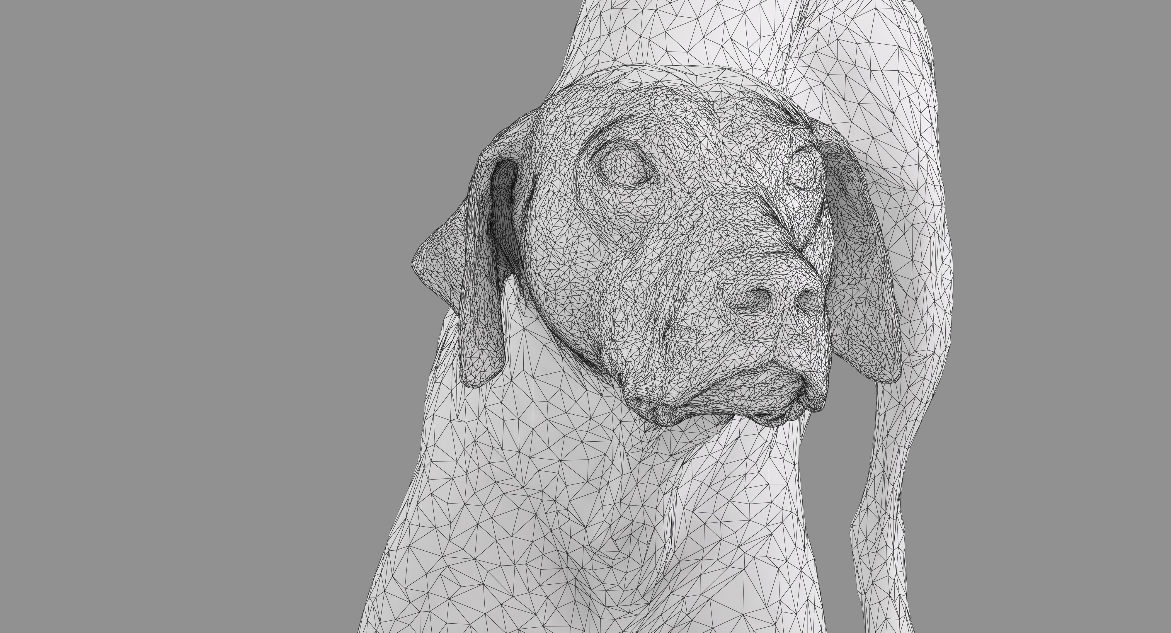 Dalmatian Dog Pose 3D model_38