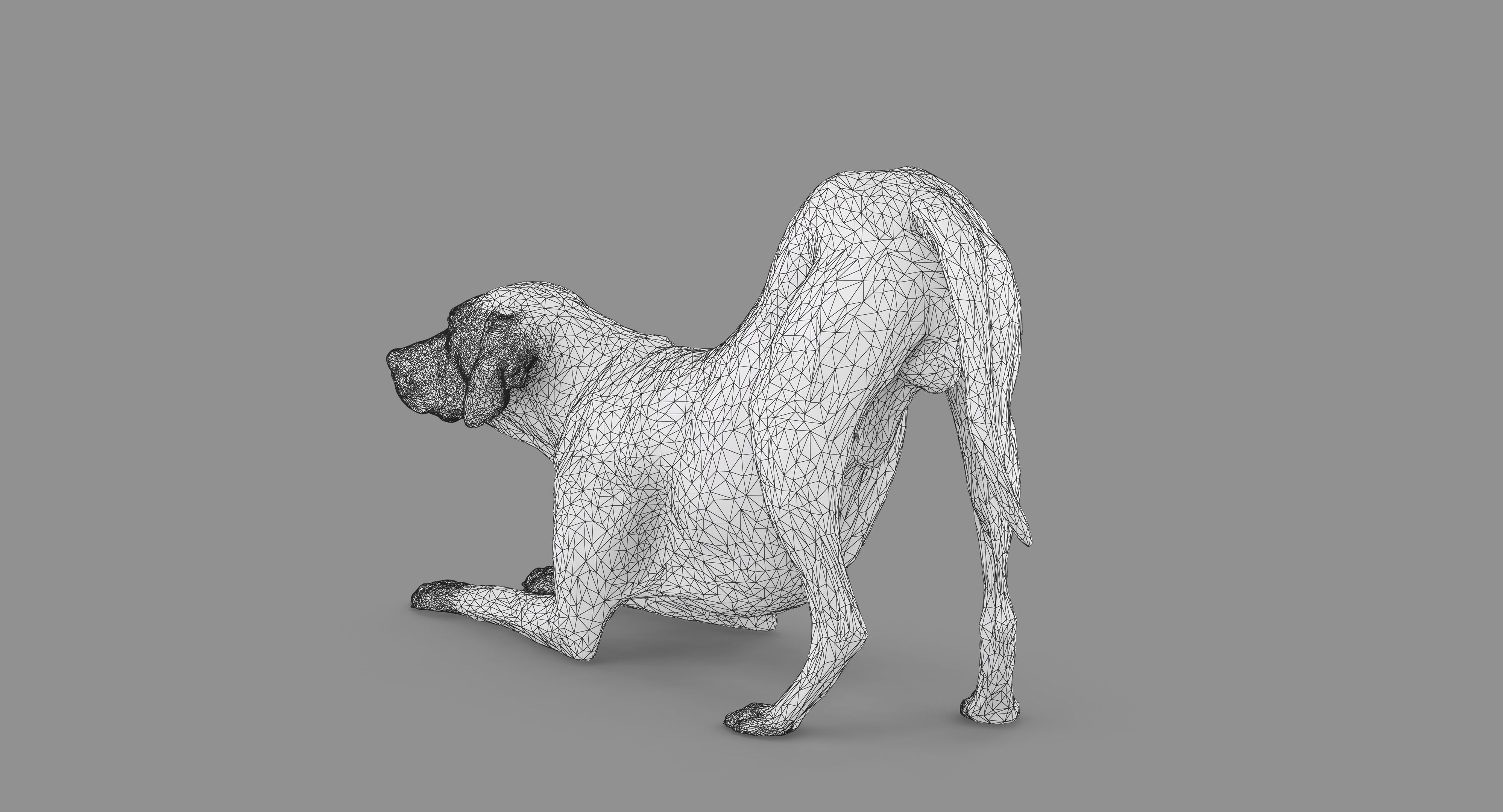 Dalmatian Dog Pose 3D model_96