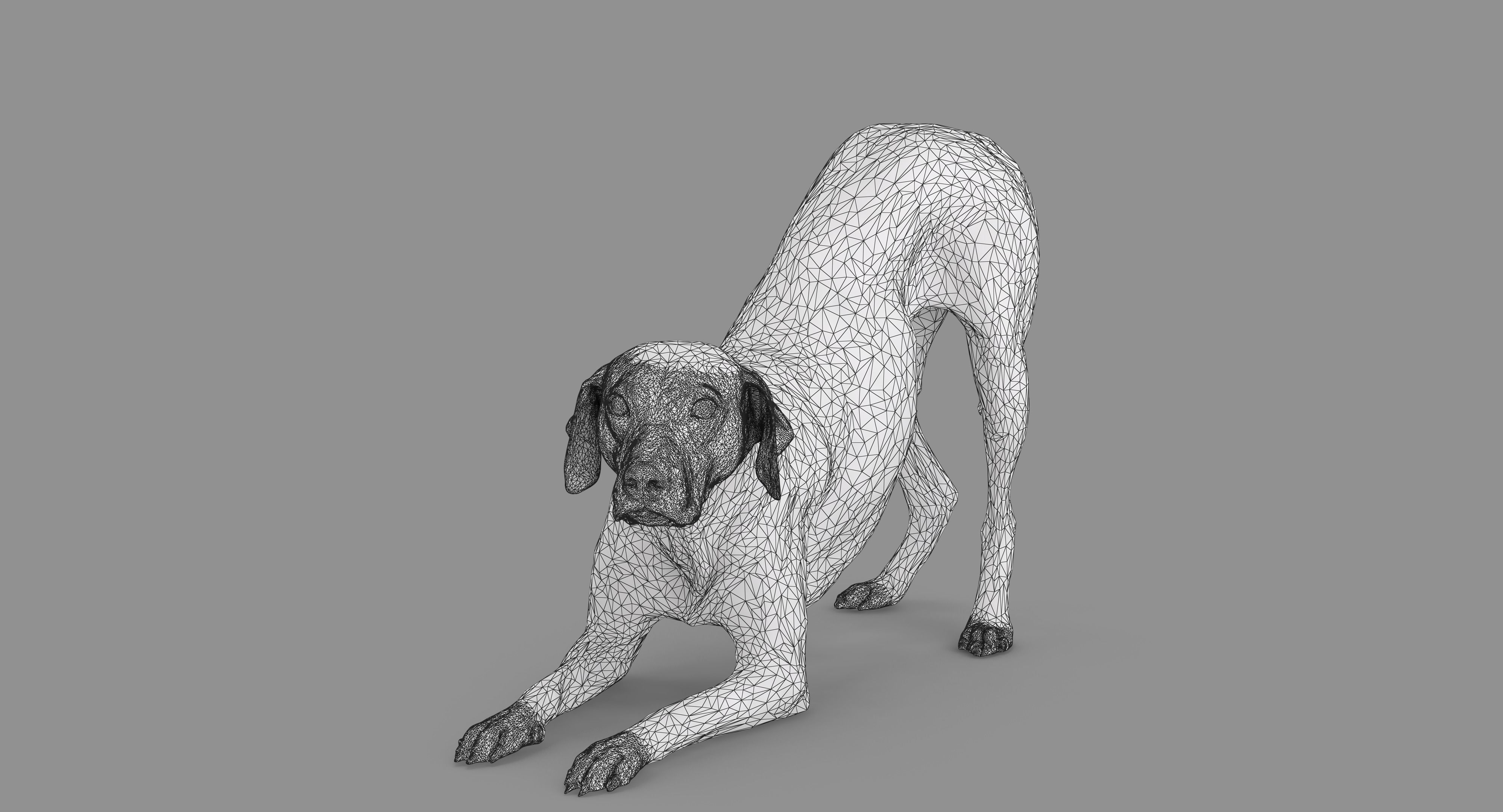 Dalmatian Dog Pose 3D model_64