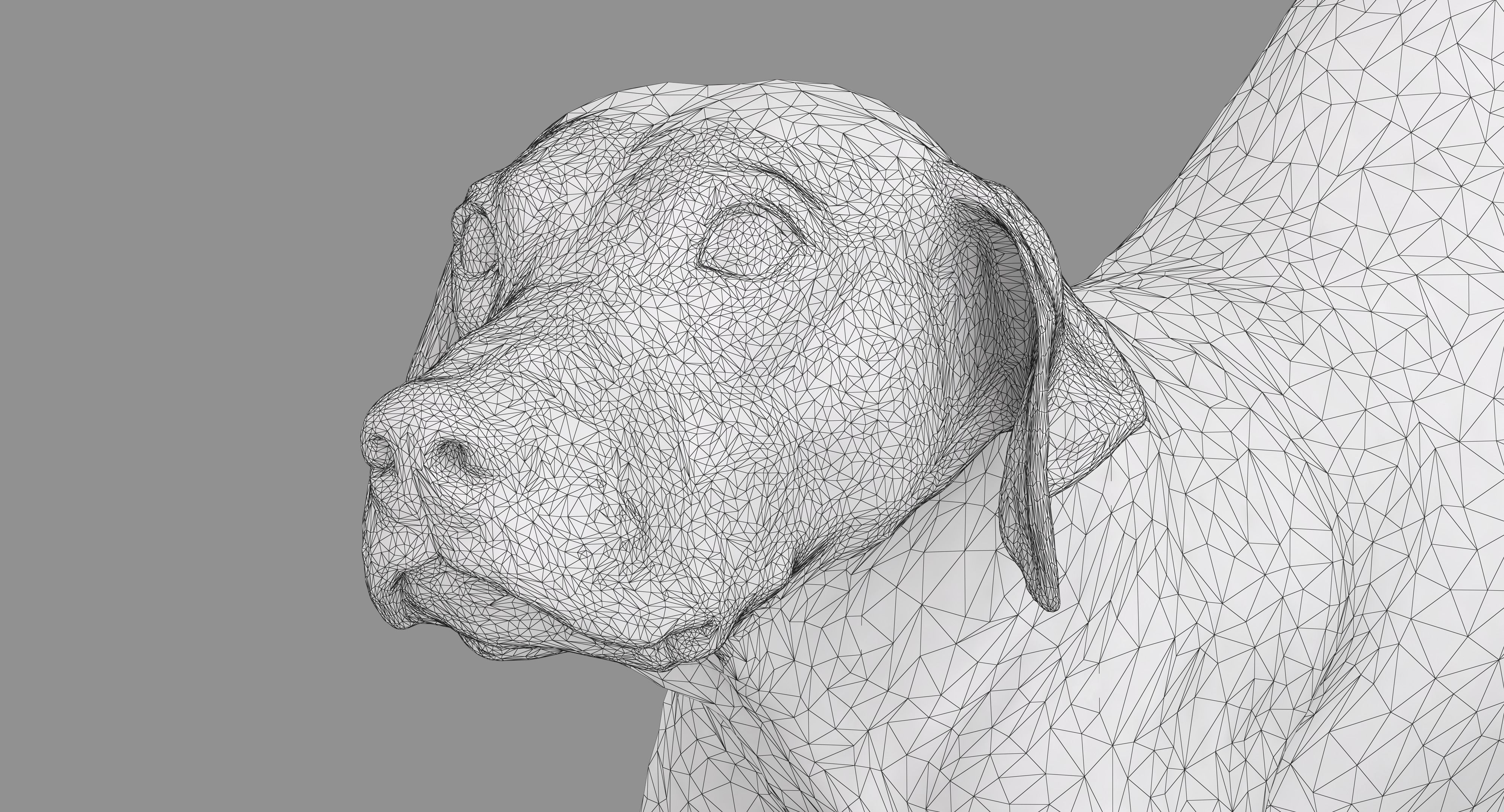 Dalmatian Dog Pose 3D model_32