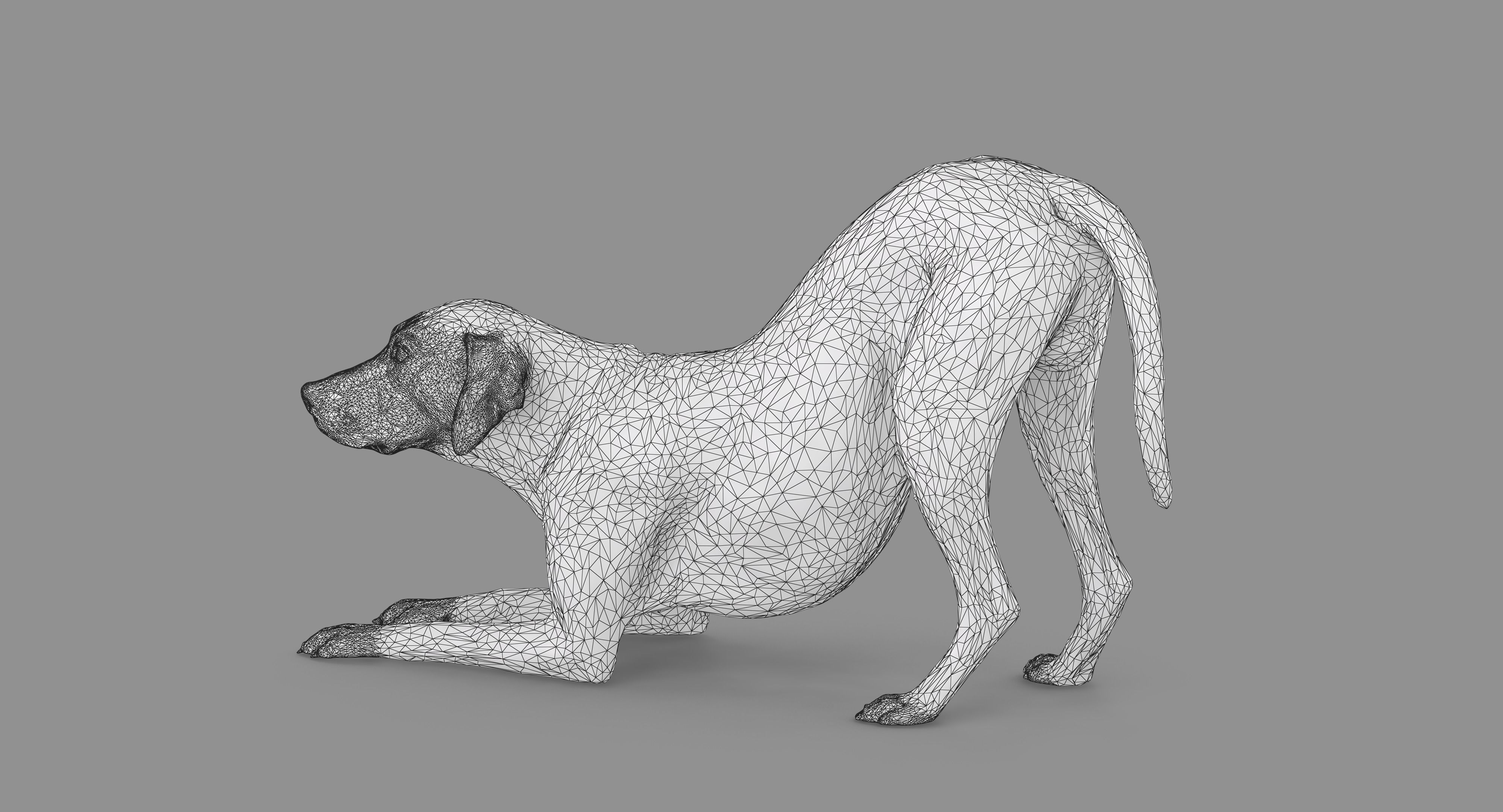 Dalmatian Dog Pose 3D model_100