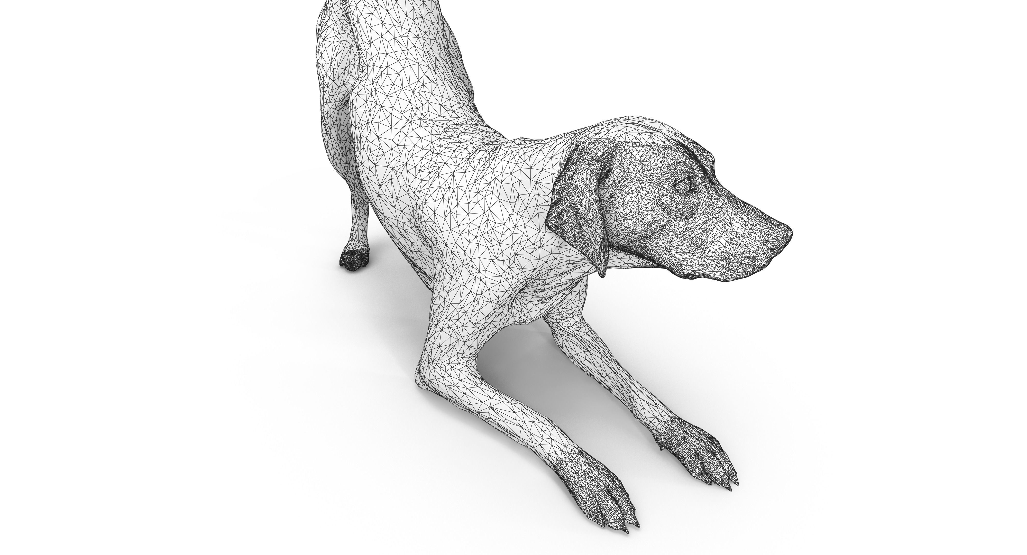 Dalmatian Dog Pose 3D model_22