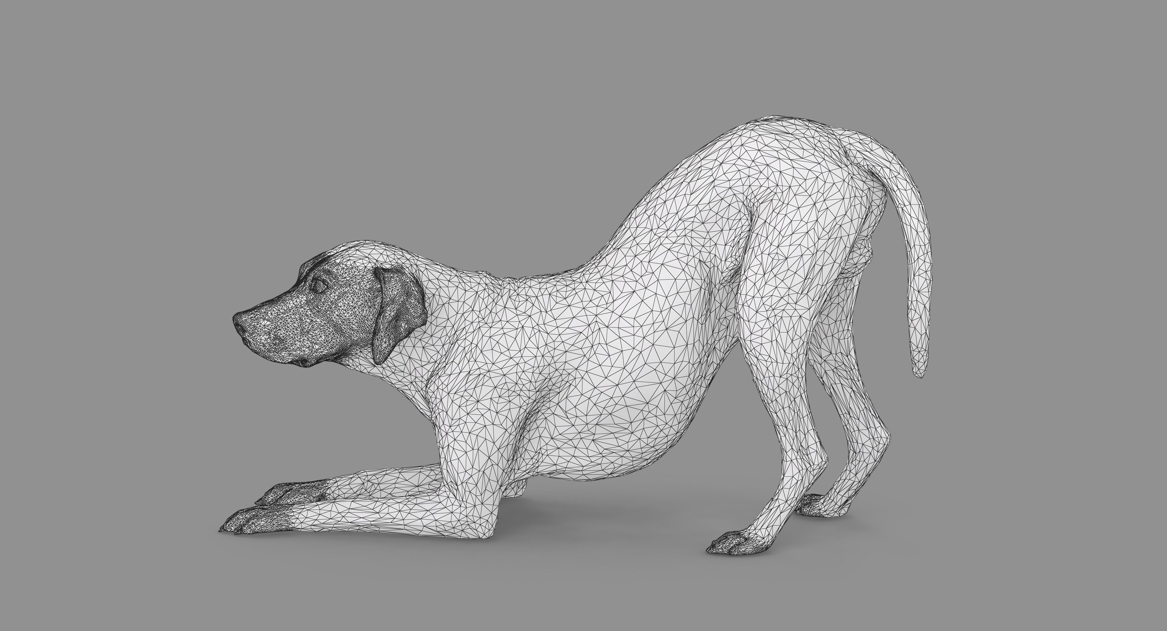 Dalmatian Dog Pose 3D model_102