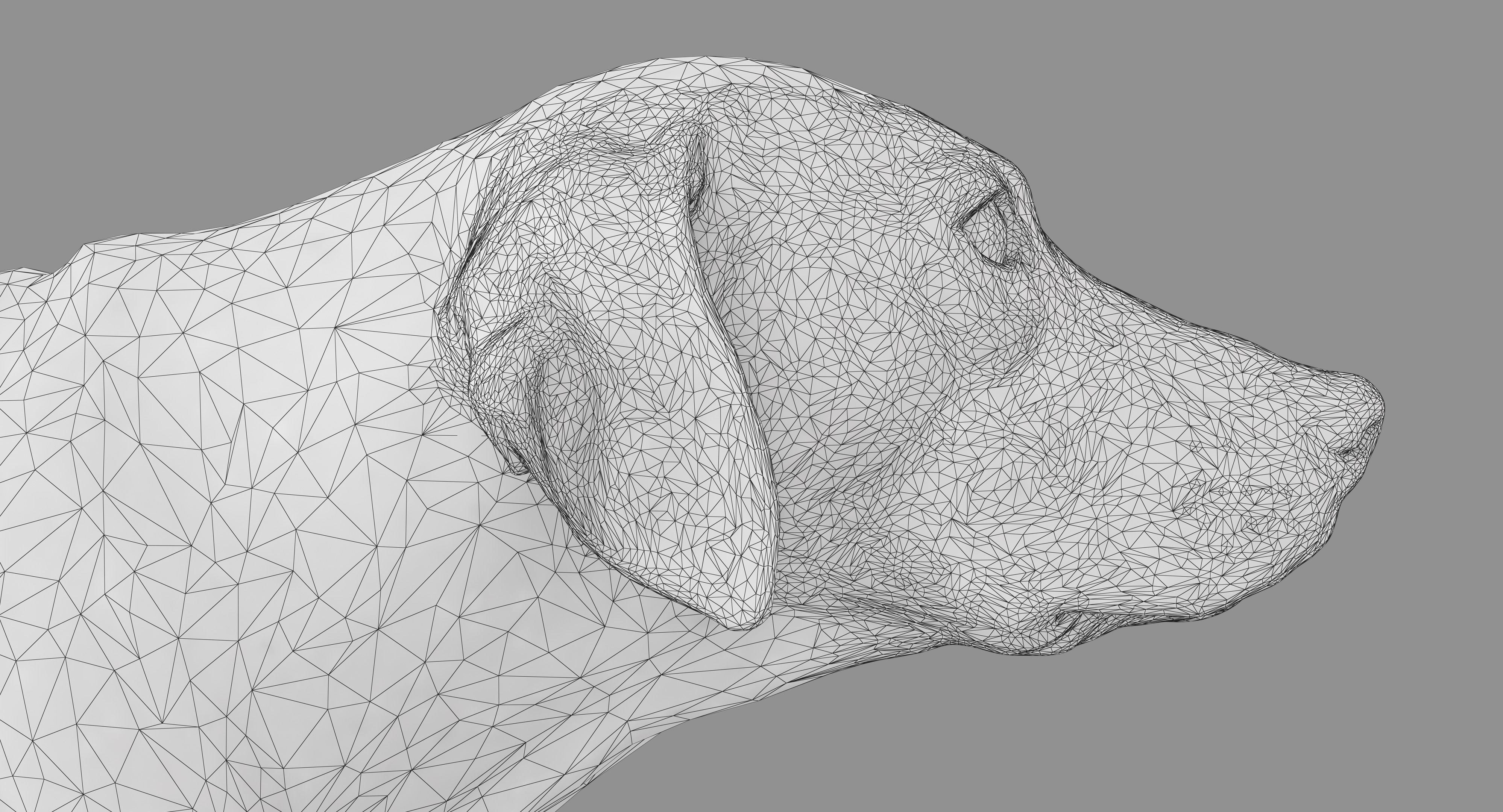 Dalmatian Dog Pose 3D model_42